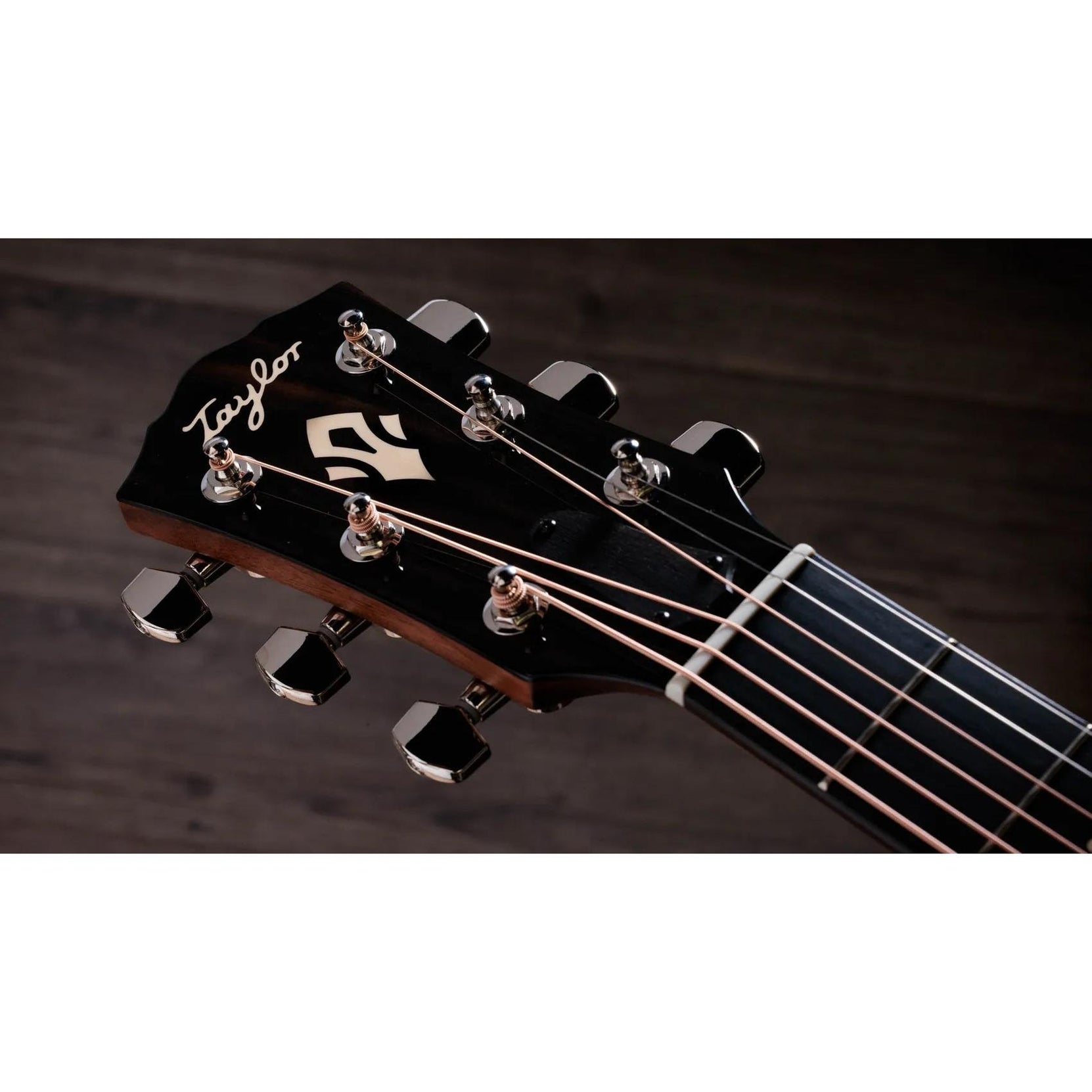 Đàn Guitar Acoustic Taylor Gold Label 514e-Mai Nguyên Music