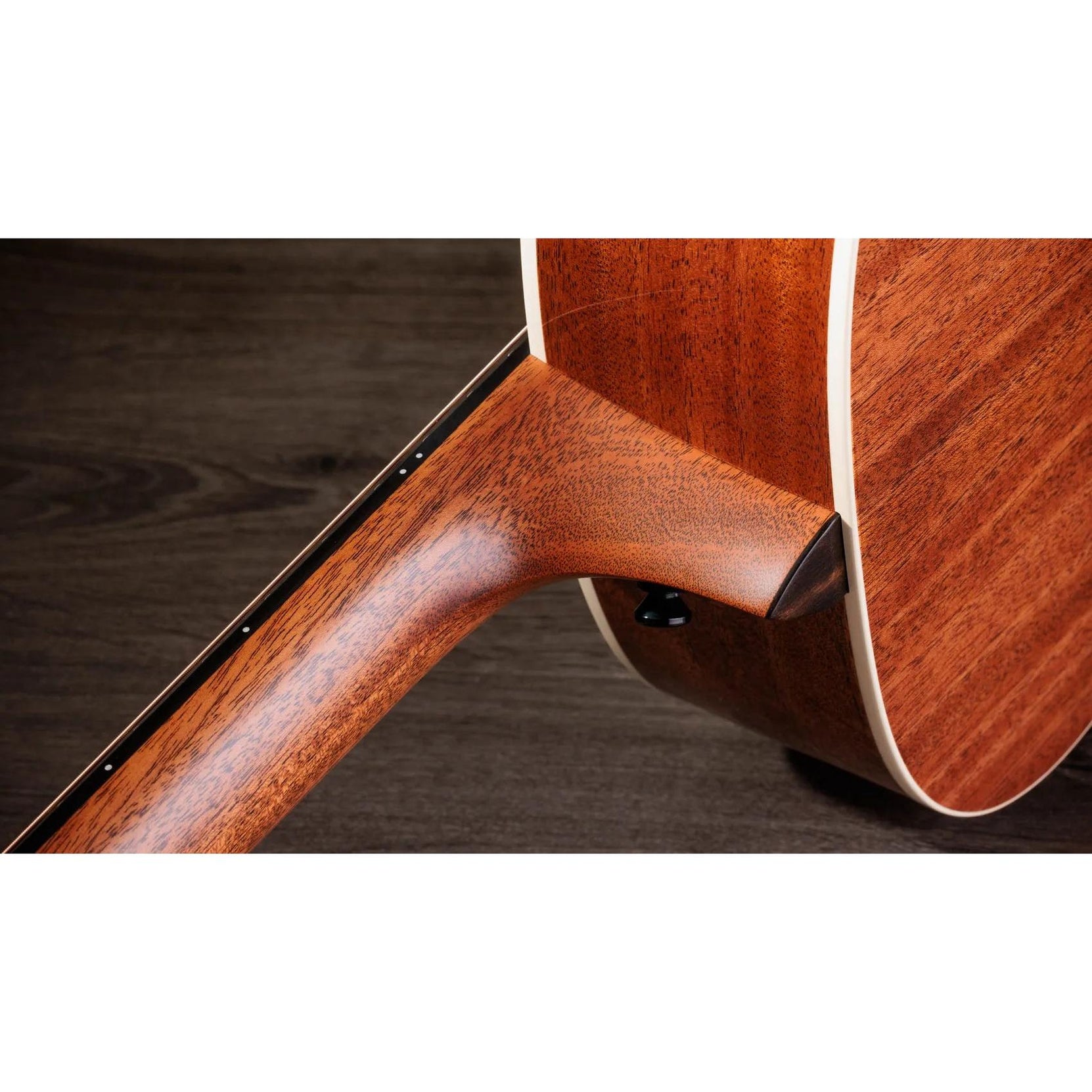 Đàn Guitar Acoustic Taylor Gold Label 514e-Mai Nguyên Music