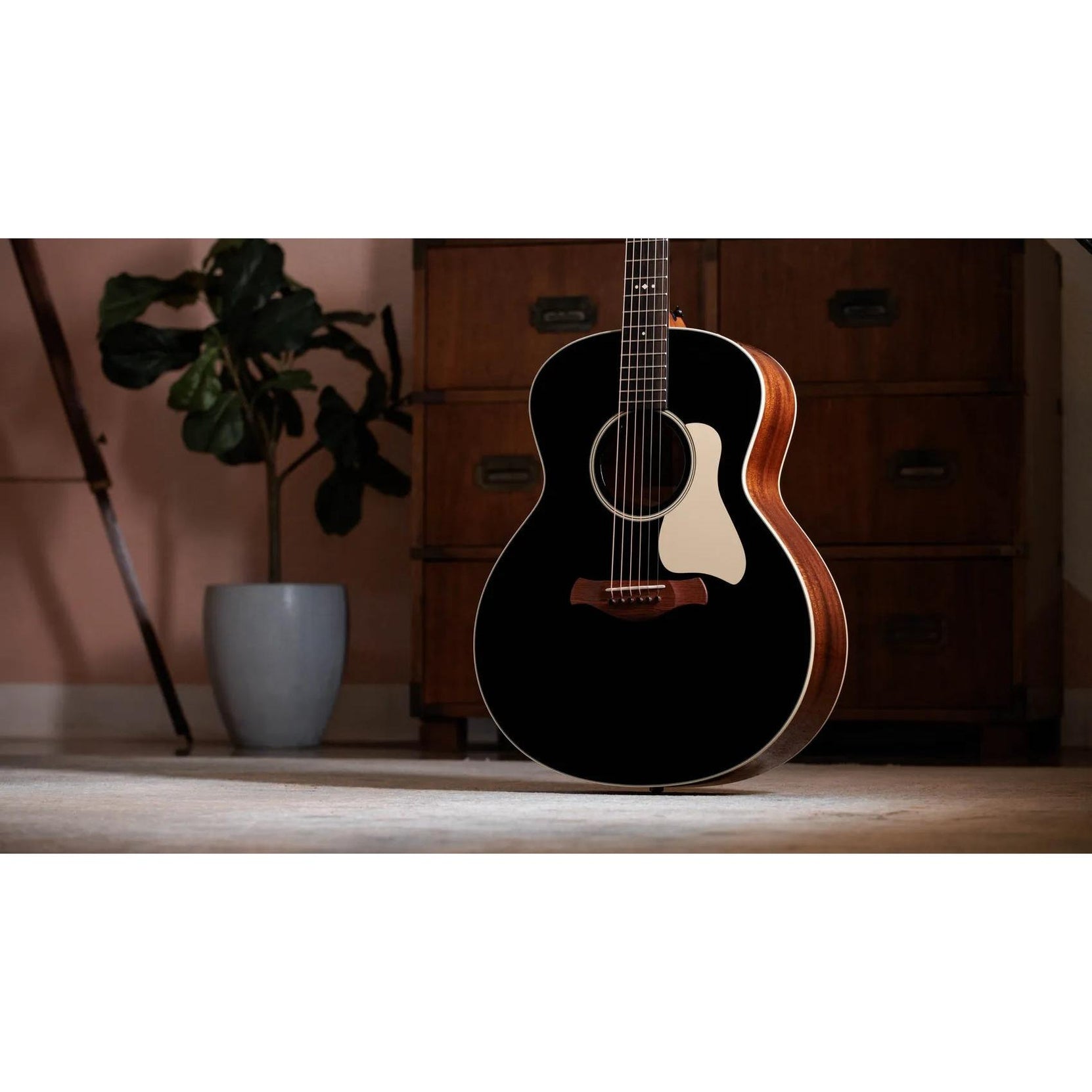 Đàn Guitar Acoustic Taylor Gold Label 514e-Mai Nguyên Music