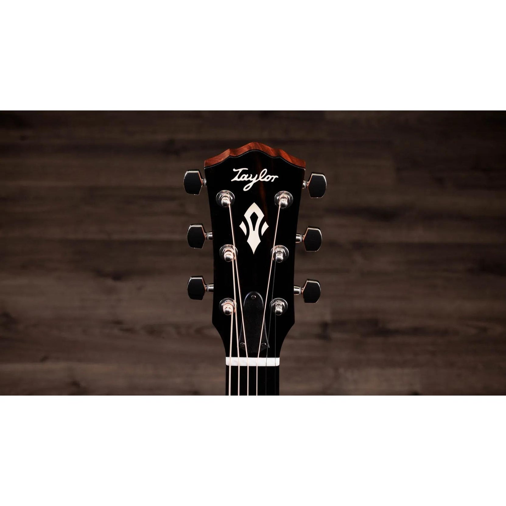Đàn Guitar Acoustic Taylor Gold Label 514e-Mai Nguyên Music