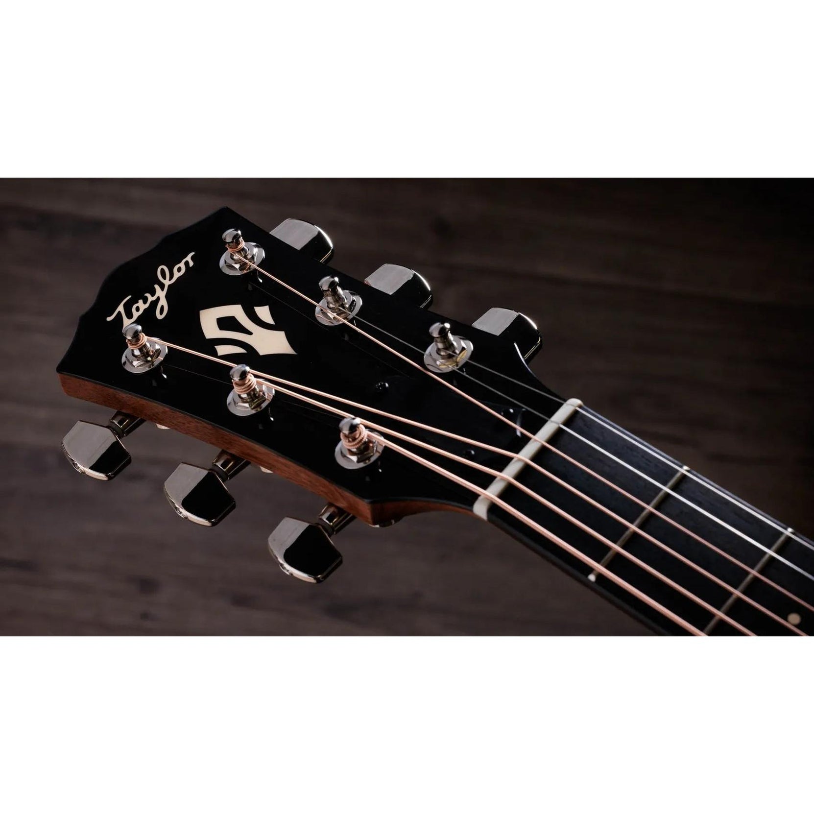 Đàn Guitar Acoustic Taylor Gold Label 514e-Mai Nguyên Music