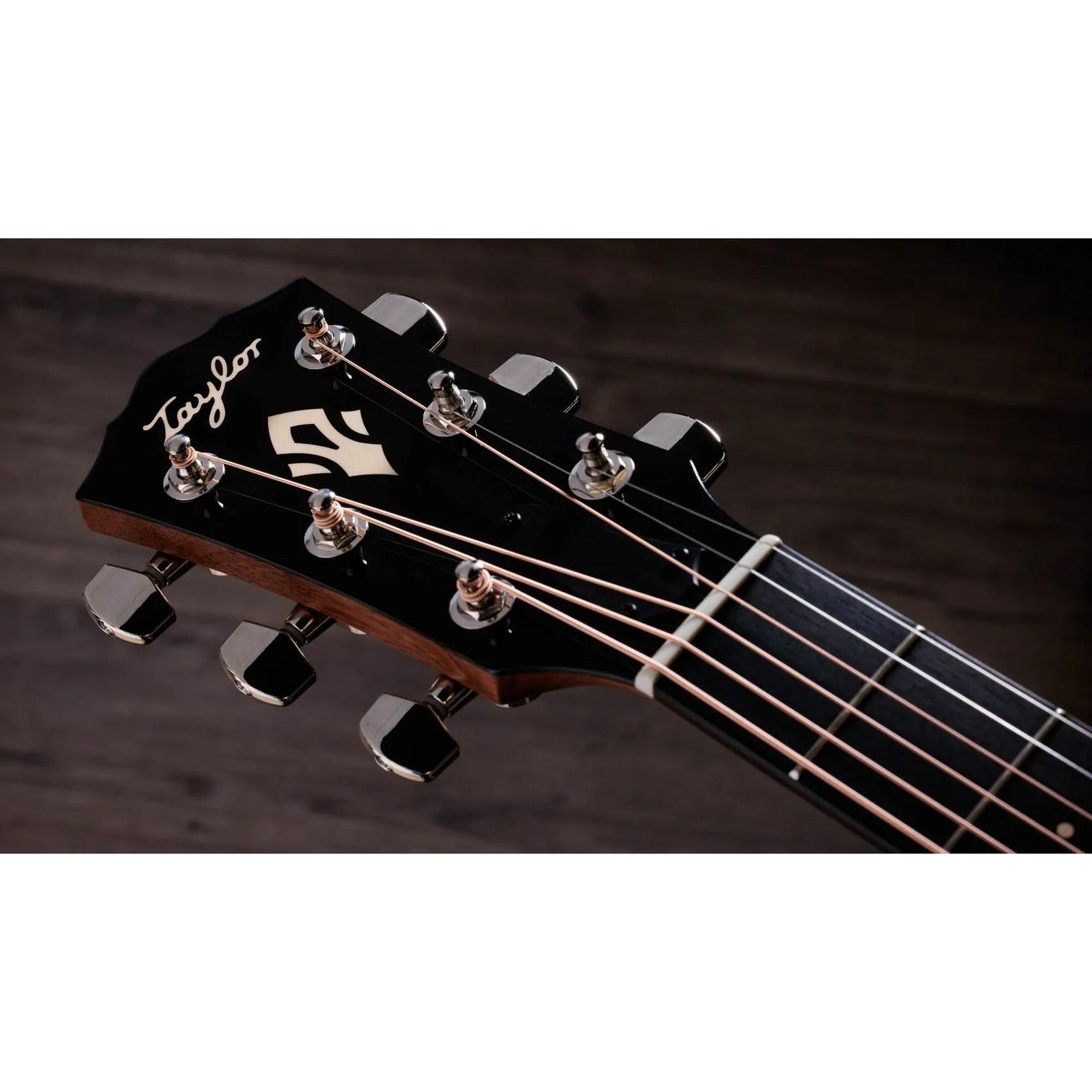 Đàn Guitar Acoustic Taylor Gold Label 514e-Mai Nguyên Music