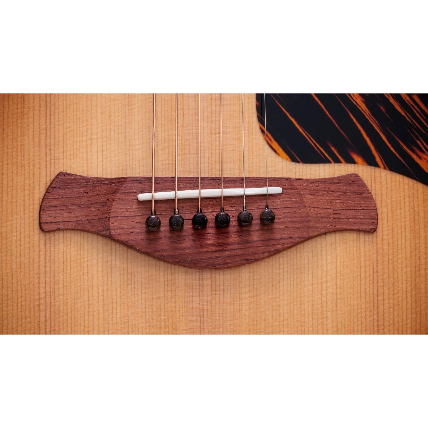 Đàn Guitar Acoustic Taylor Gold Label 514e-Mai Nguyên Music
