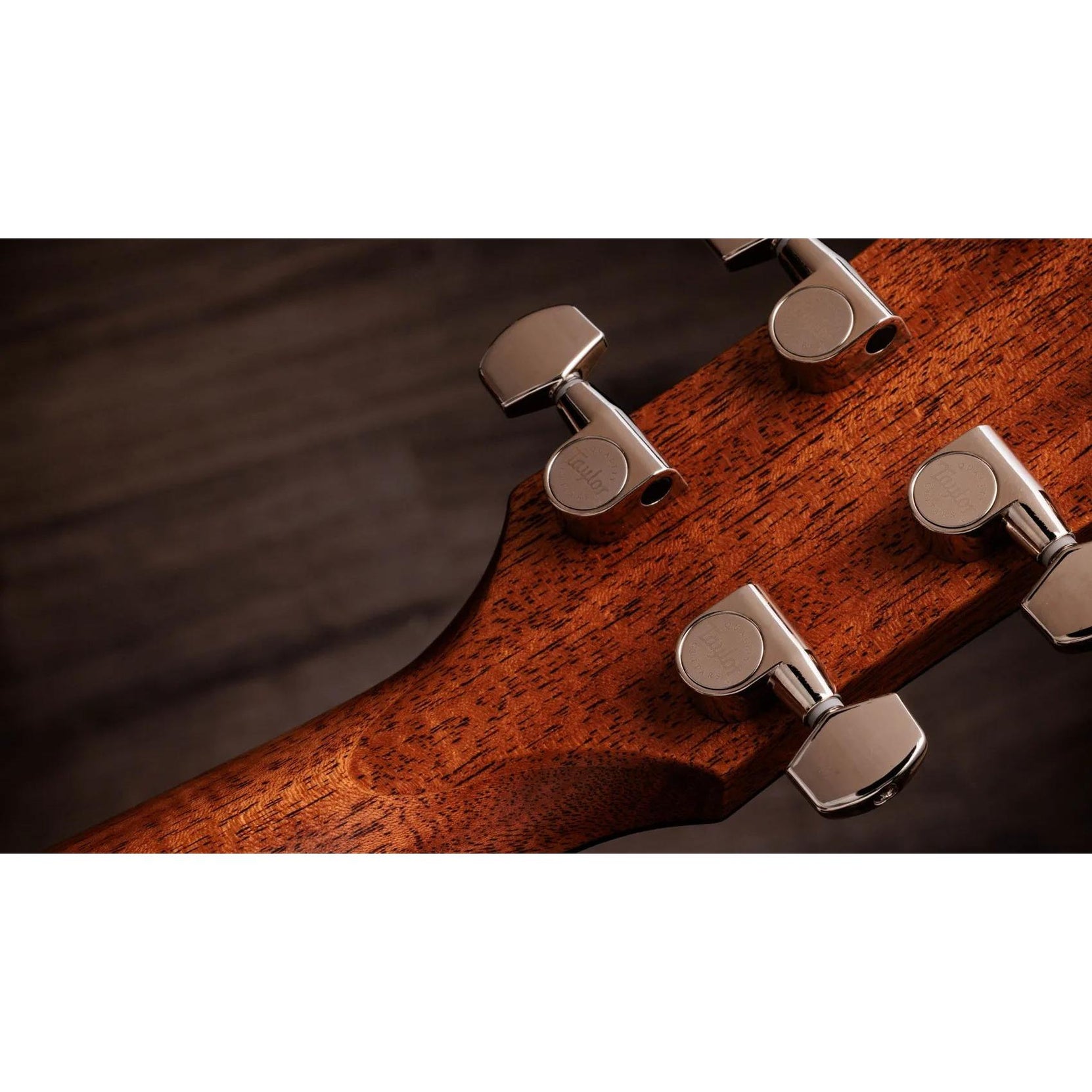 Đàn Guitar Acoustic Taylor Gold Label 514e-Mai Nguyên Music