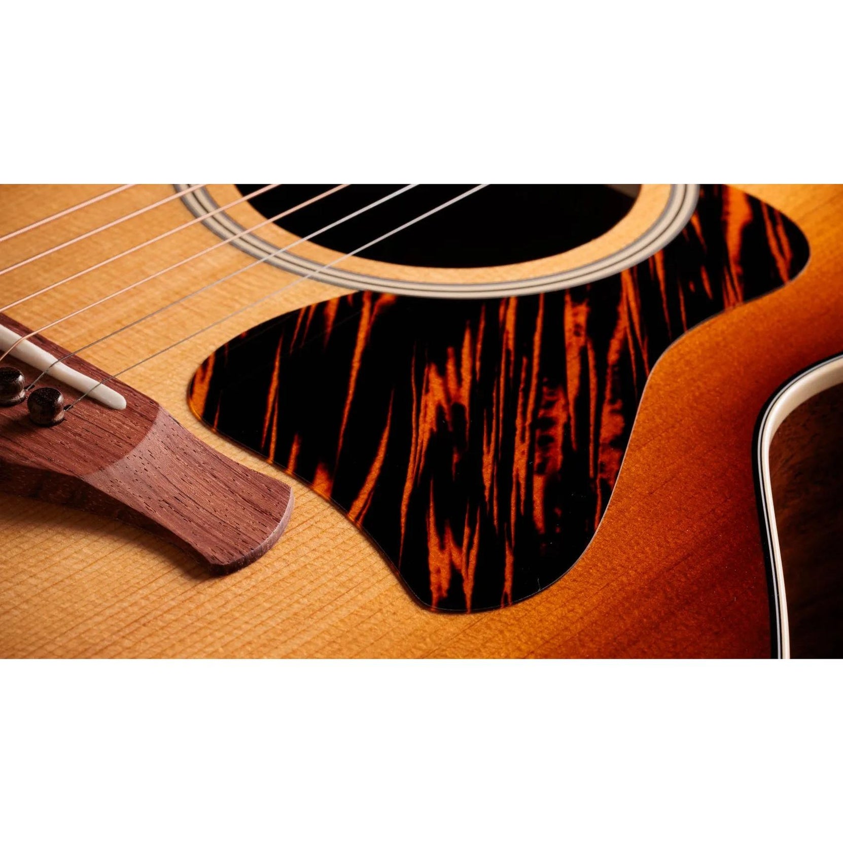 Đàn Guitar Acoustic Taylor Gold Label 514e-Mai Nguyên Music
