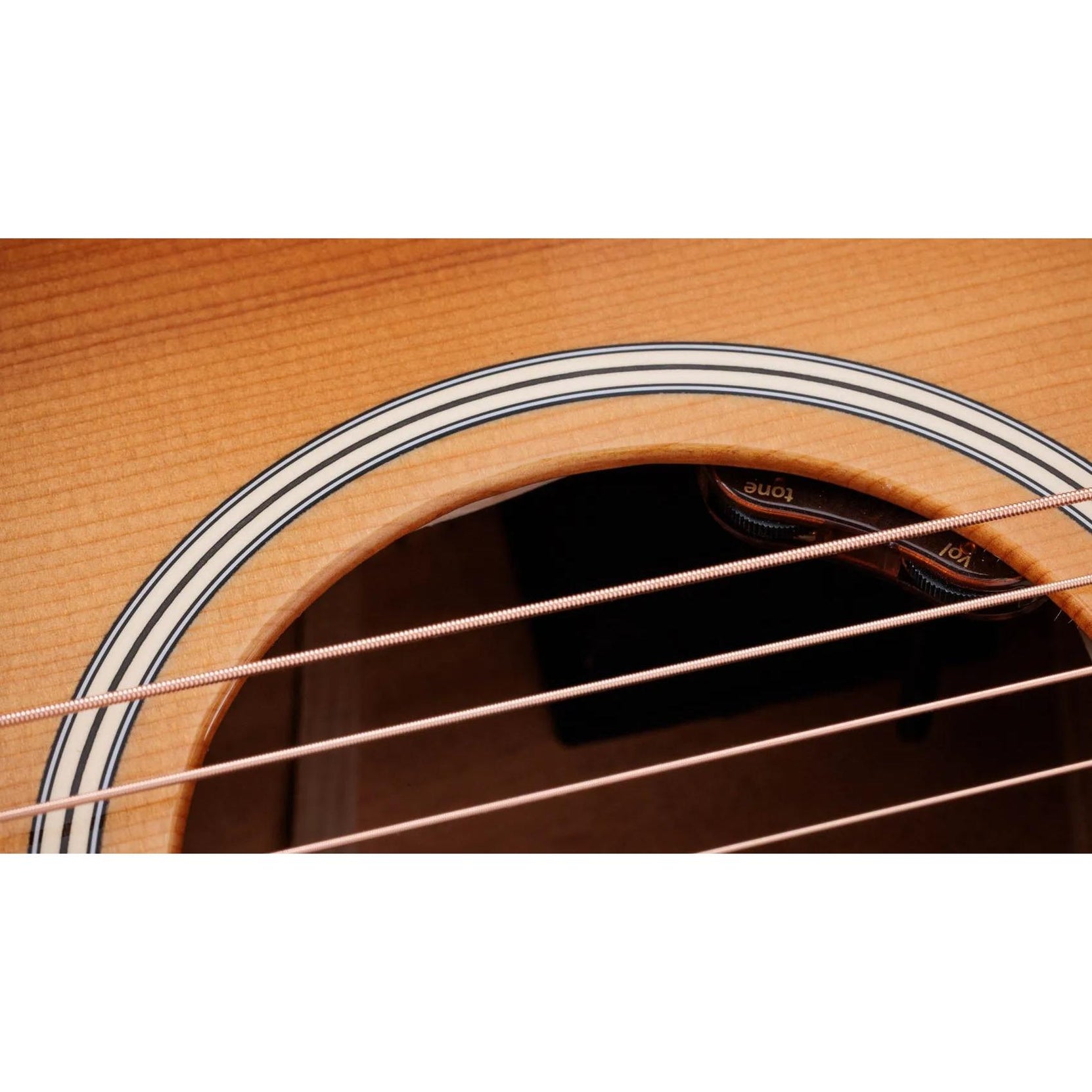 Đàn Guitar Acoustic Taylor Gold Label 514e-Mai Nguyên Music