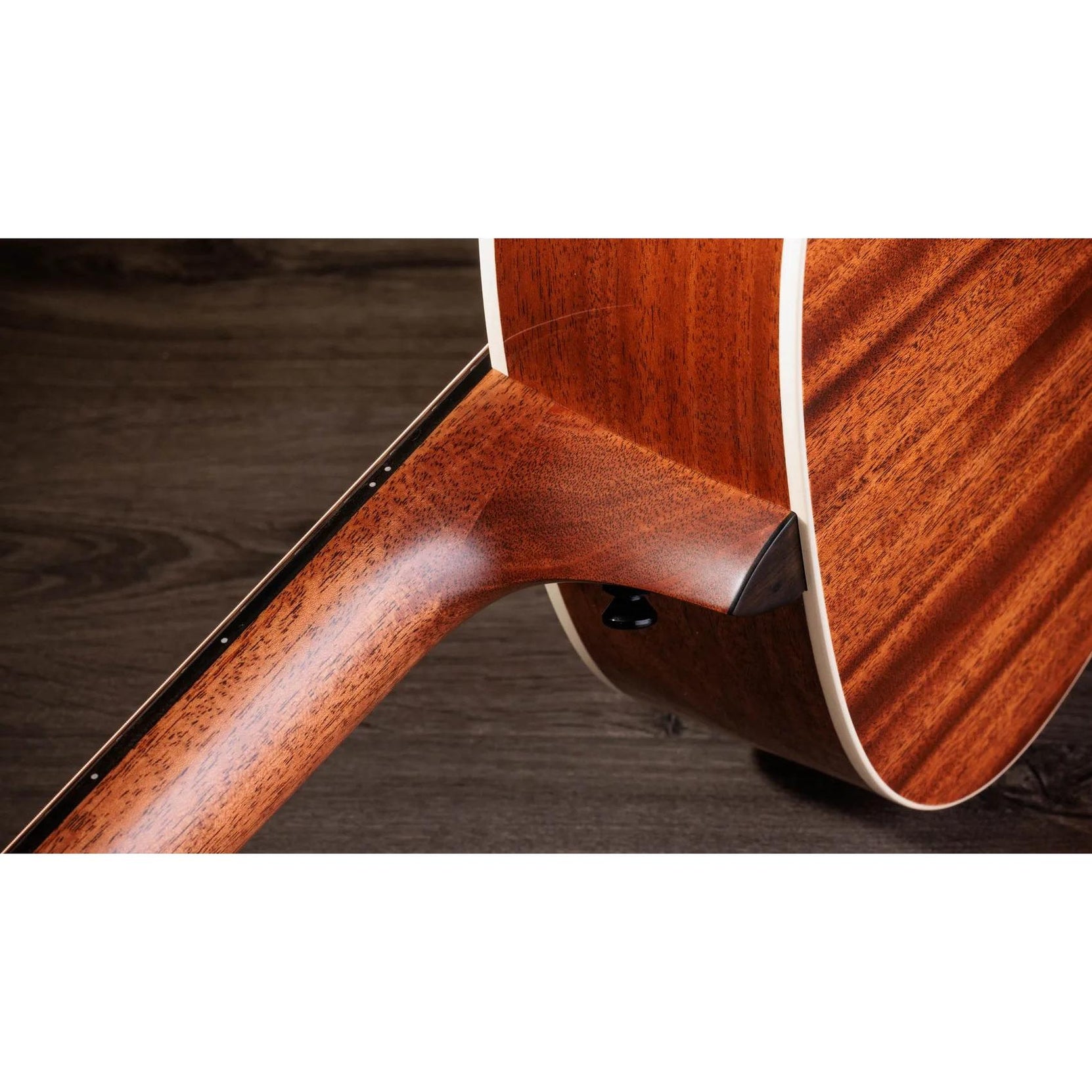 Đàn Guitar Acoustic Taylor Gold Label 514e-Mai Nguyên Music