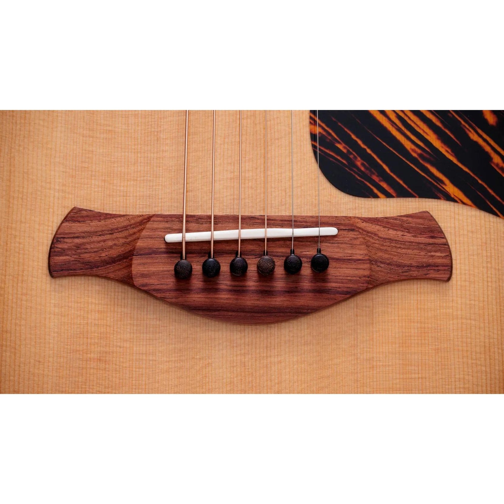 Đàn Guitar Acoustic Taylor Gold Label 514e-Mai Nguyên Music