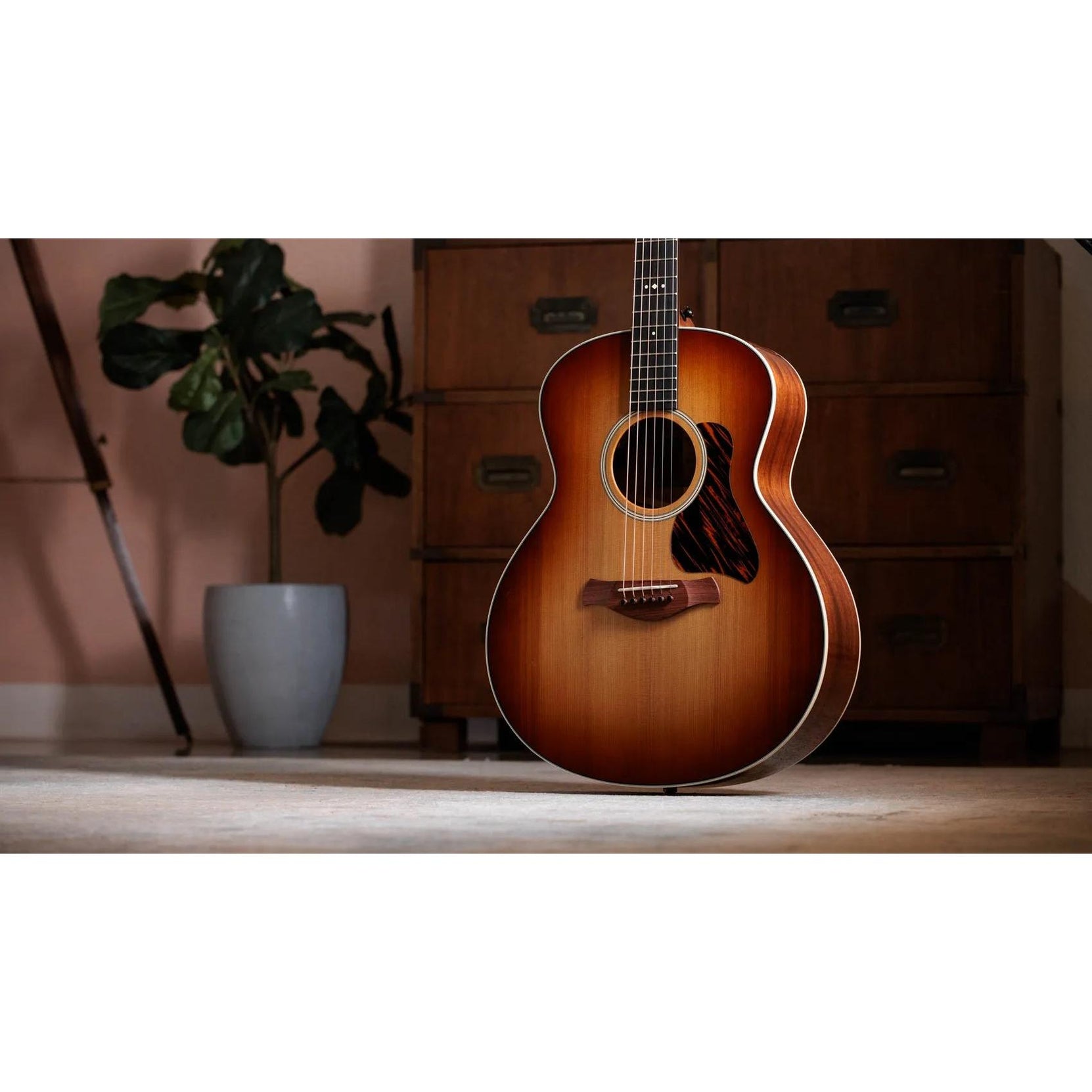 Đàn Guitar Acoustic Taylor Gold Label 514e-Mai Nguyên Music