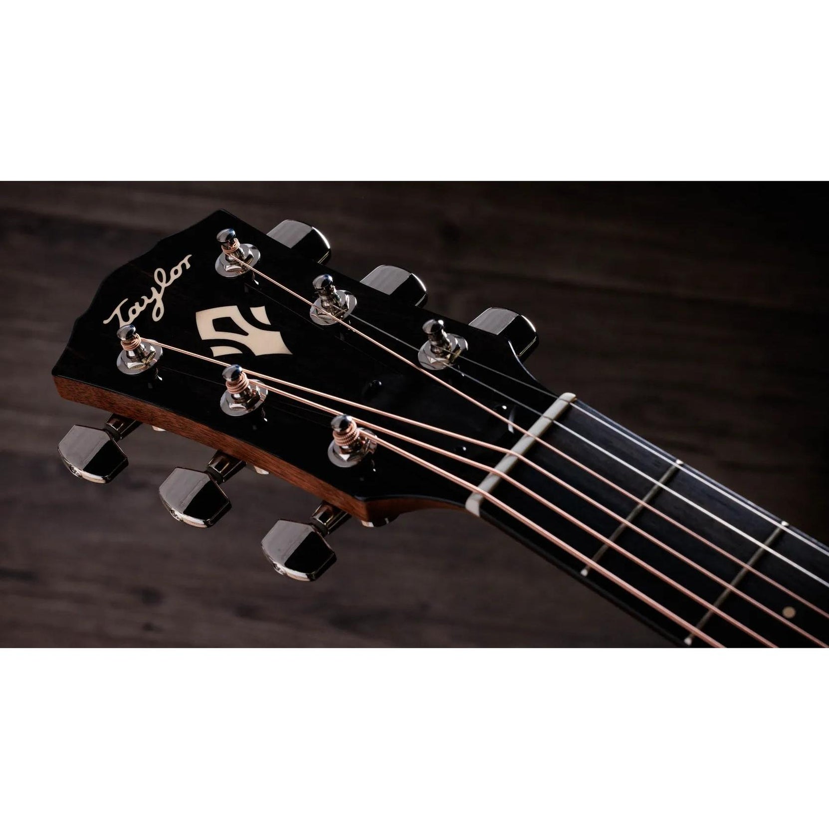 Đàn Guitar Acoustic Taylor Gold Label 514e-Mai Nguyên Music