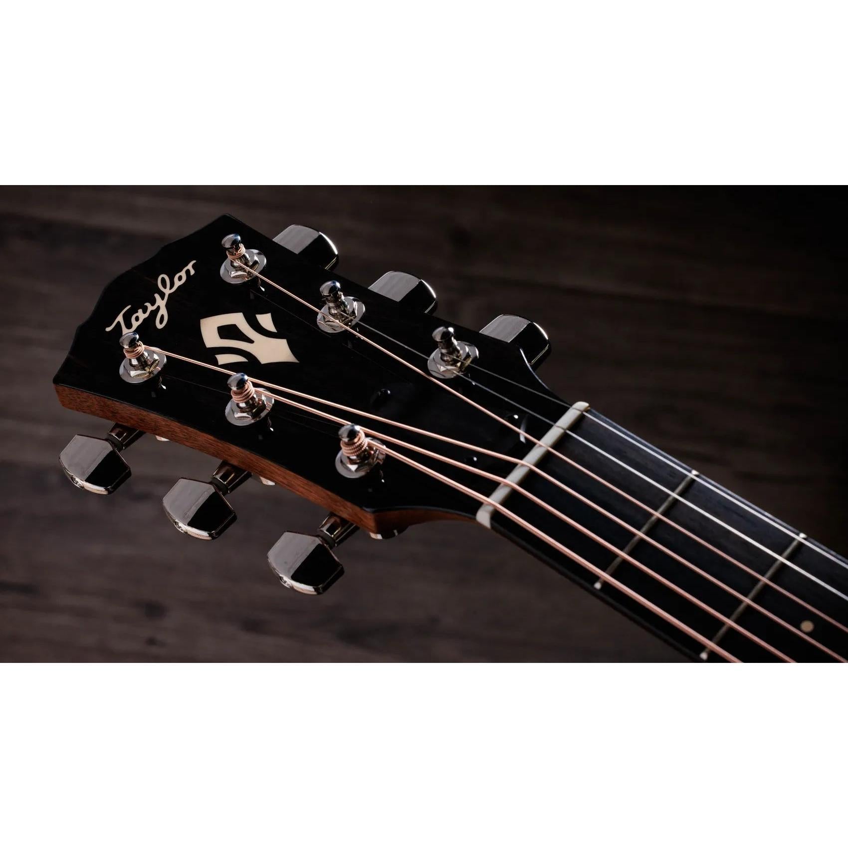 Đàn Guitar Acoustic Taylor Gold Label 514e-Mai Nguyên Music