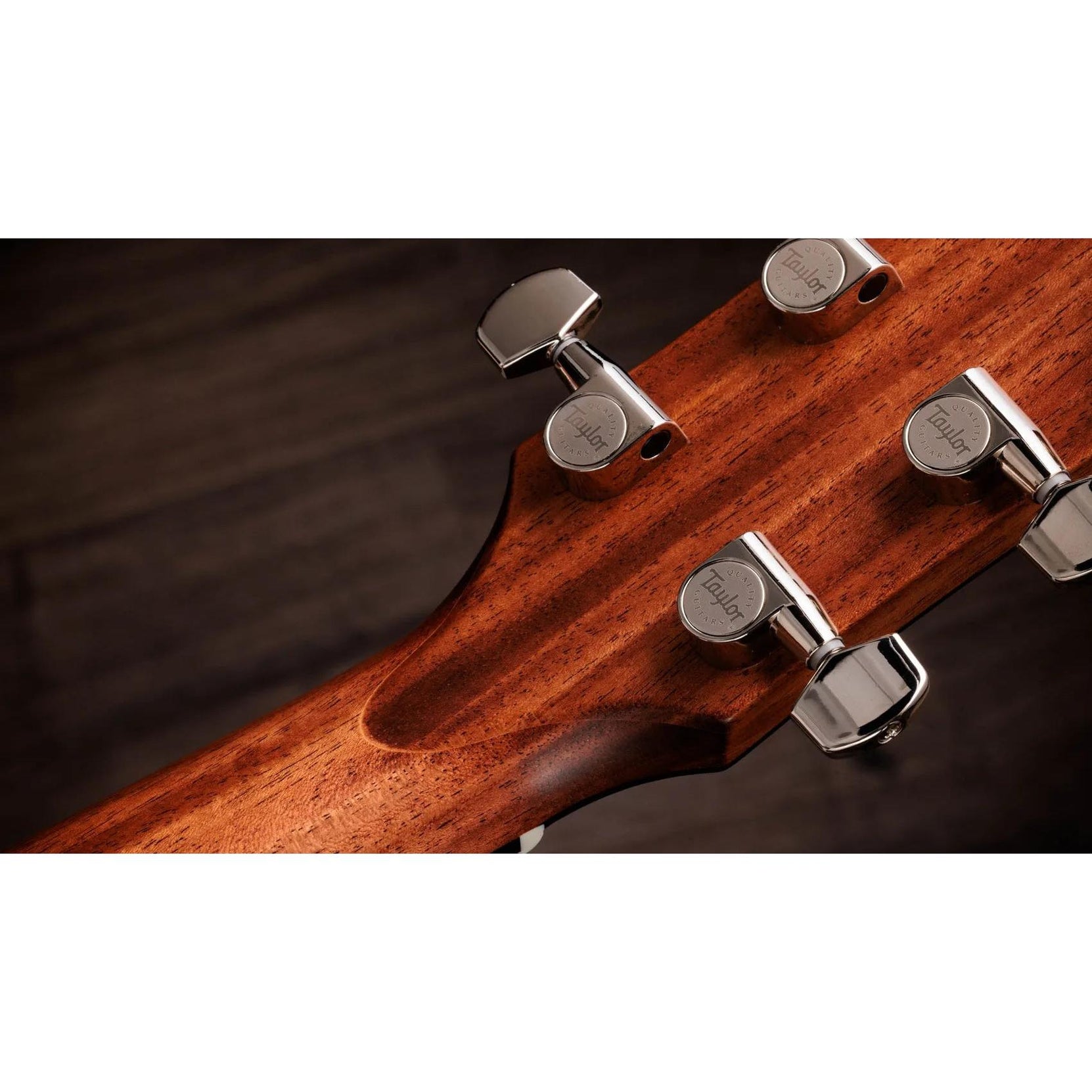 Đàn Guitar Acoustic Taylor Gold Label 514e-Mai Nguyên Music