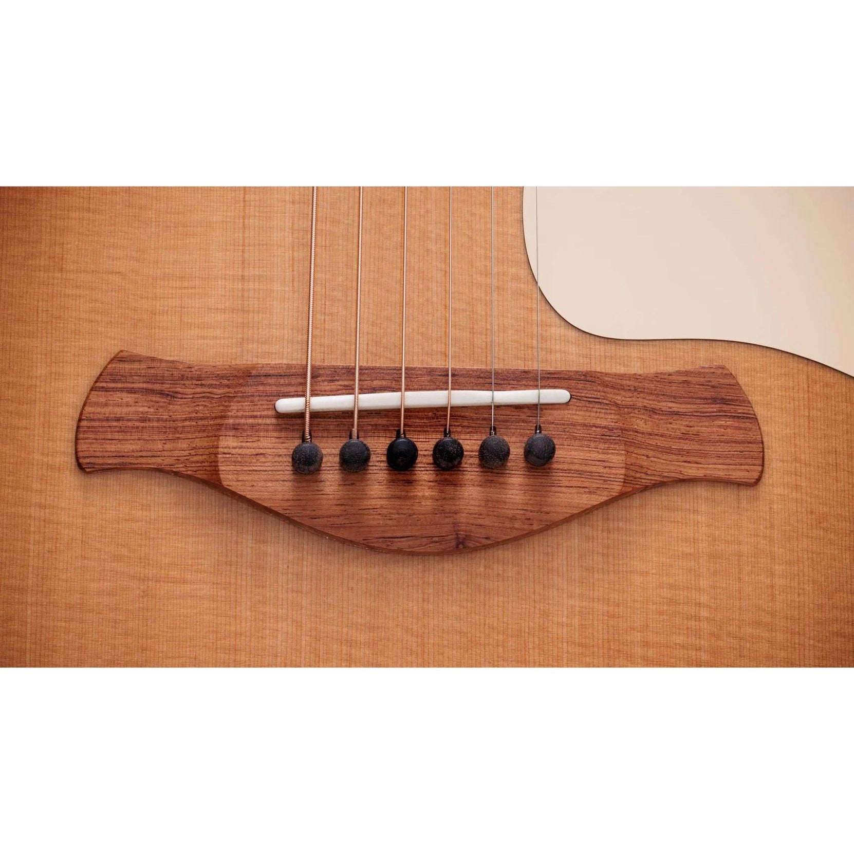 Đàn Guitar Acoustic Taylor Gold Label 514e-Mai Nguyên Music