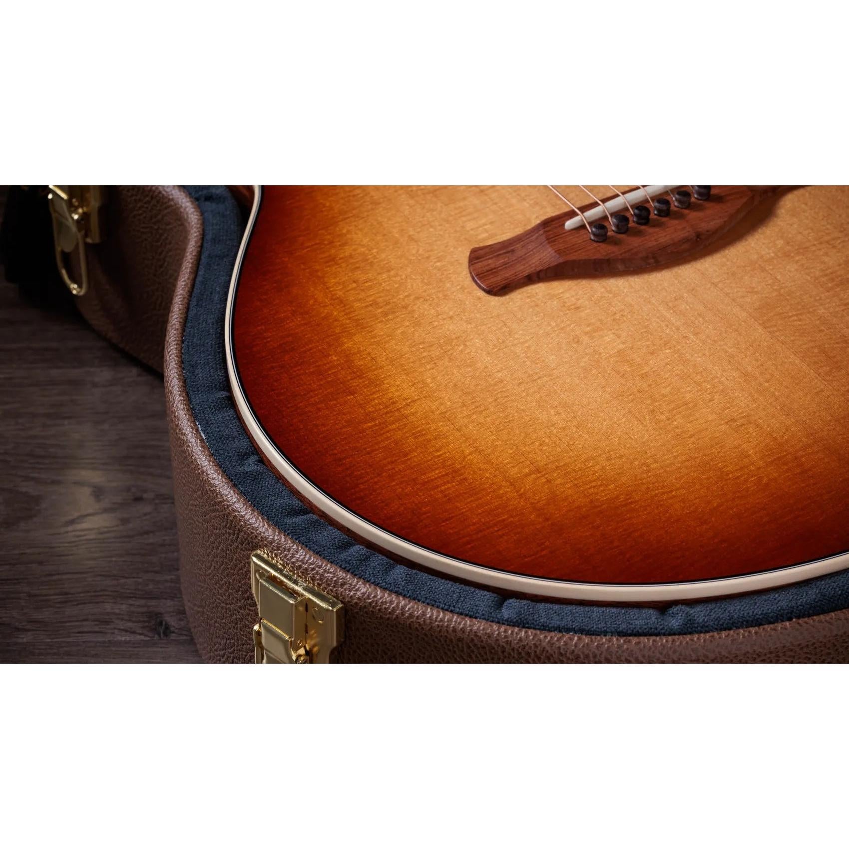 Đàn Guitar Acoustic Taylor Gold Label 514e-Mai Nguyên Music