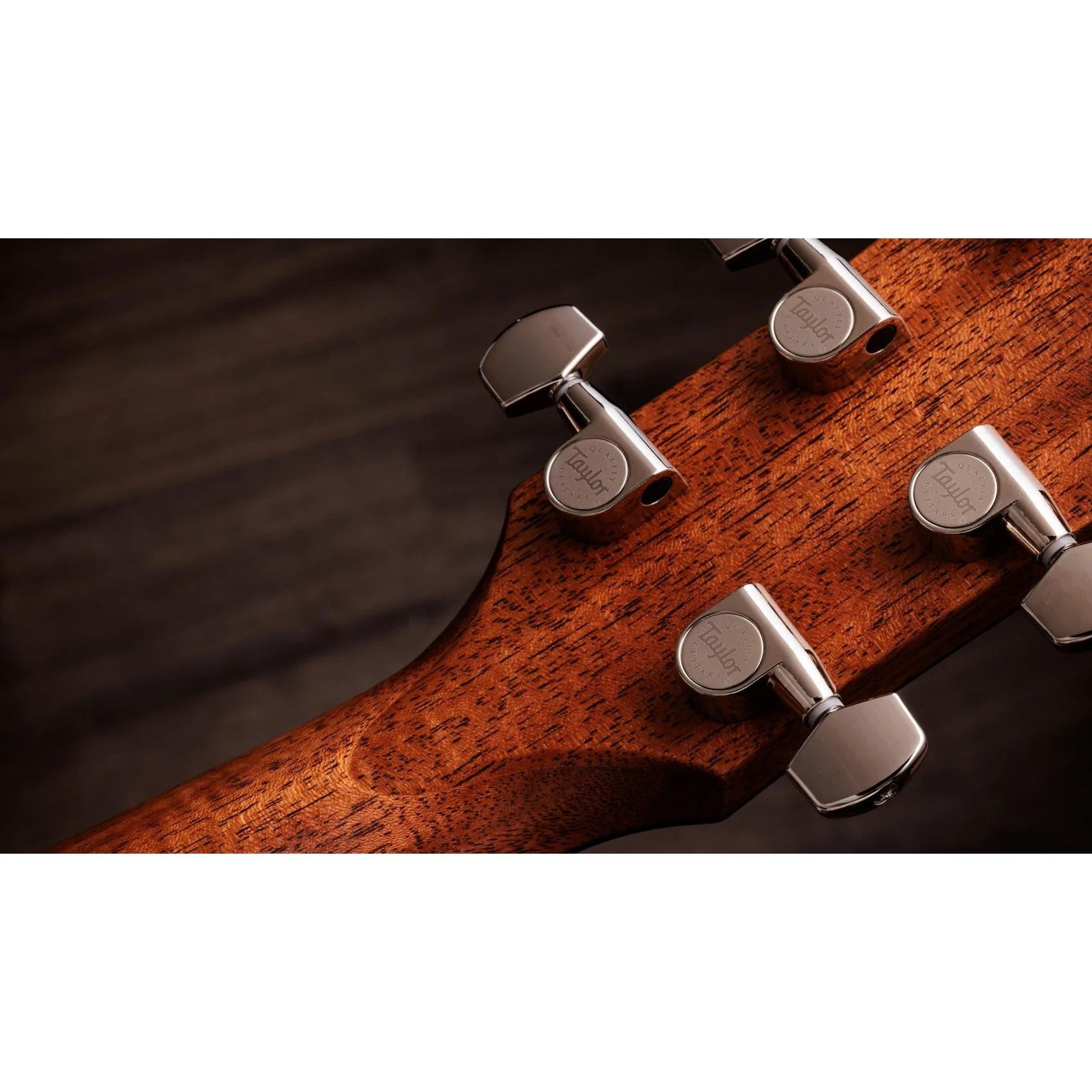 Đàn Guitar Acoustic Taylor Gold Label 514e-Mai Nguyên Music