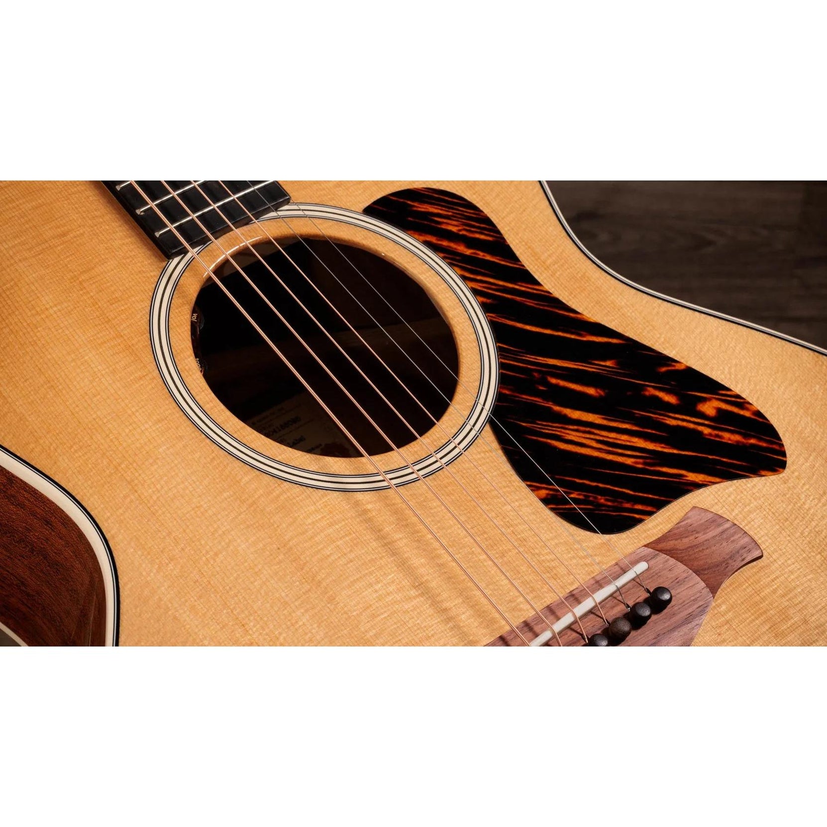 Đàn Guitar Acoustic Taylor Gold Label 514e-Mai Nguyên Music