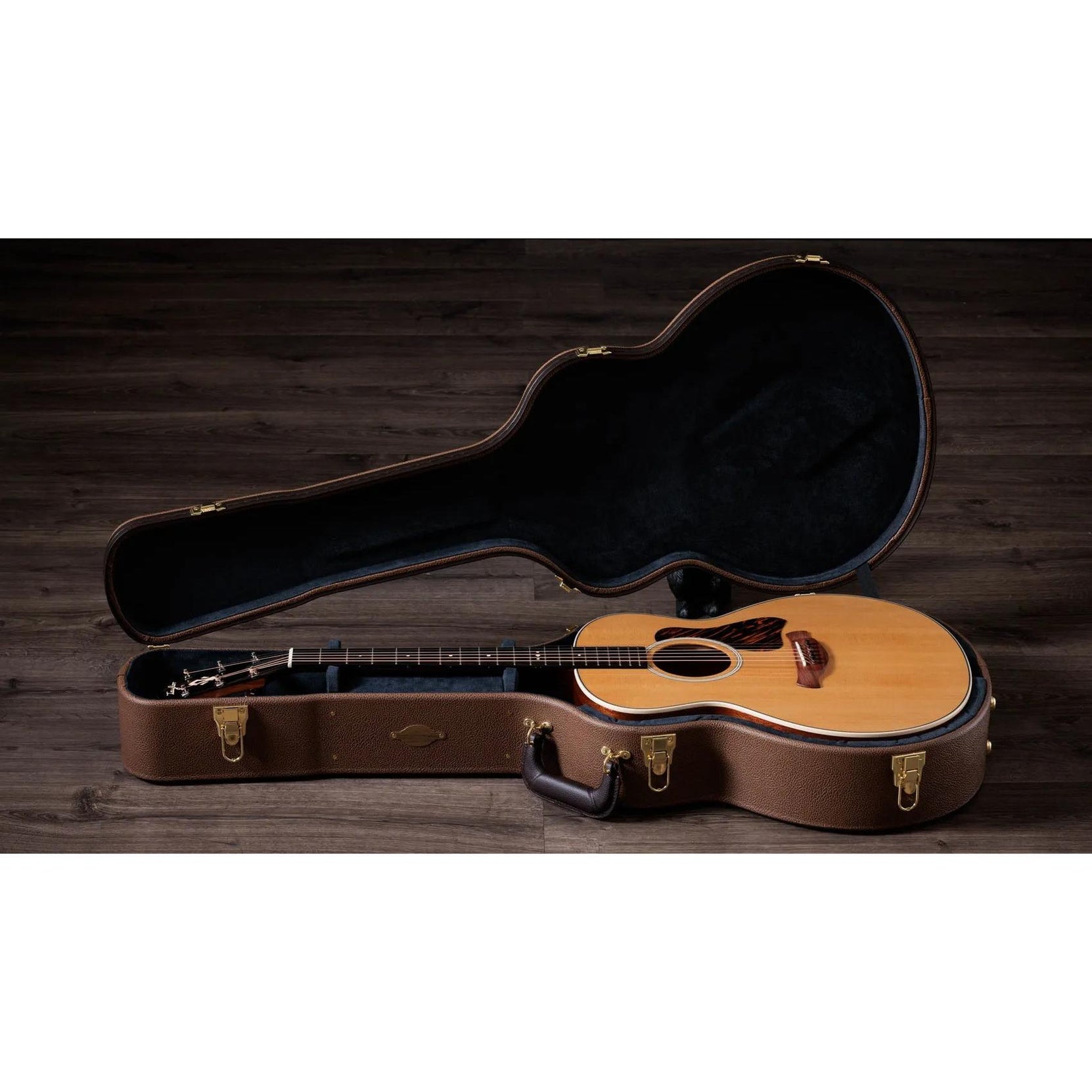 Đàn Guitar Acoustic Taylor Gold Label 514e-Mai Nguyên Music