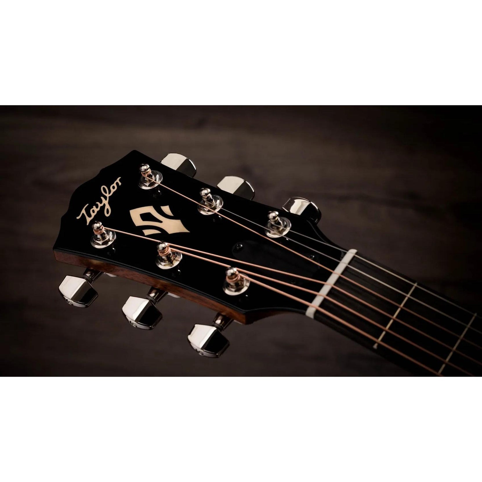 Đàn Guitar Acoustic Taylor Gold Label 517e-Mai Nguyên Music