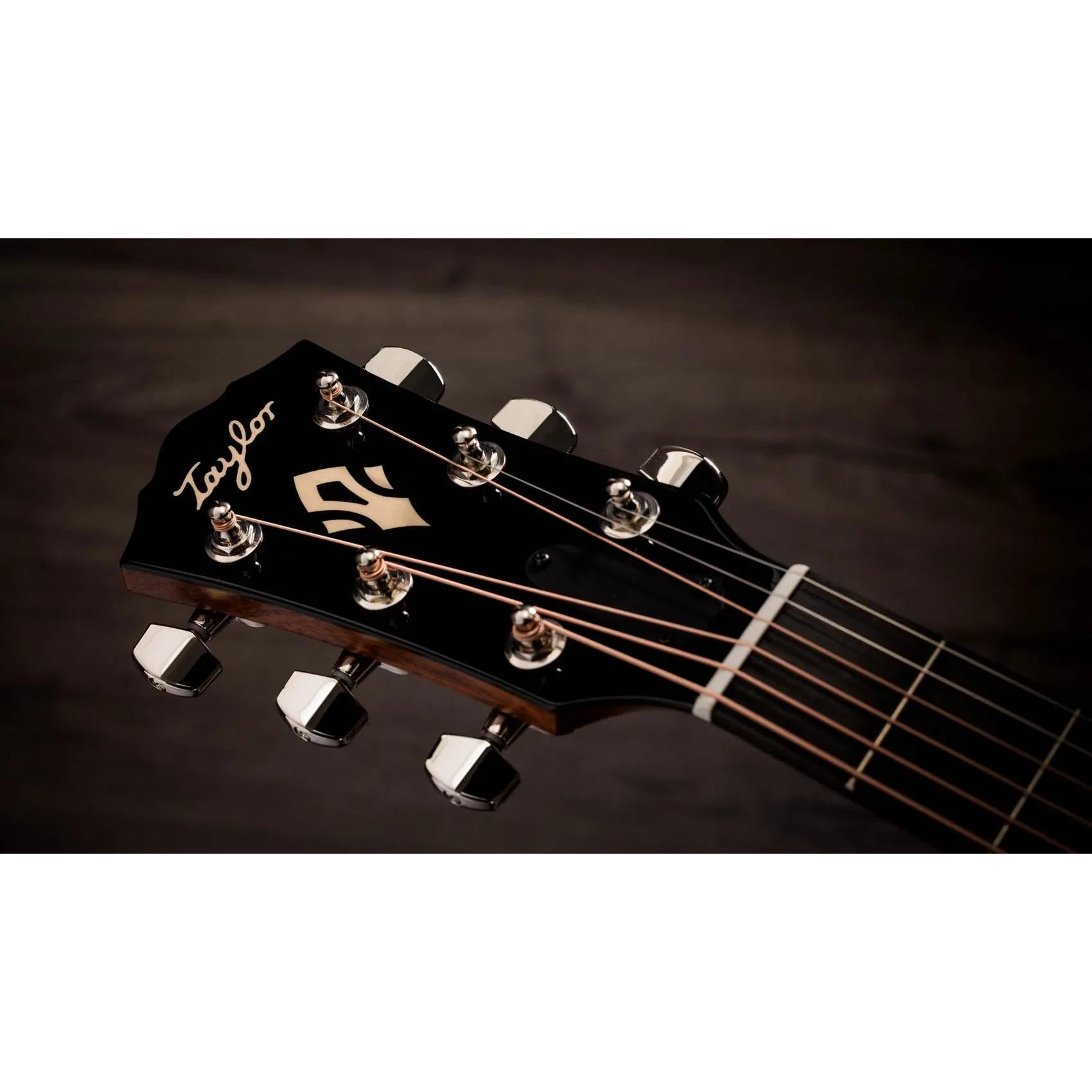 Đàn Guitar Acoustic Taylor Gold Label 517e-Mai Nguyên Music