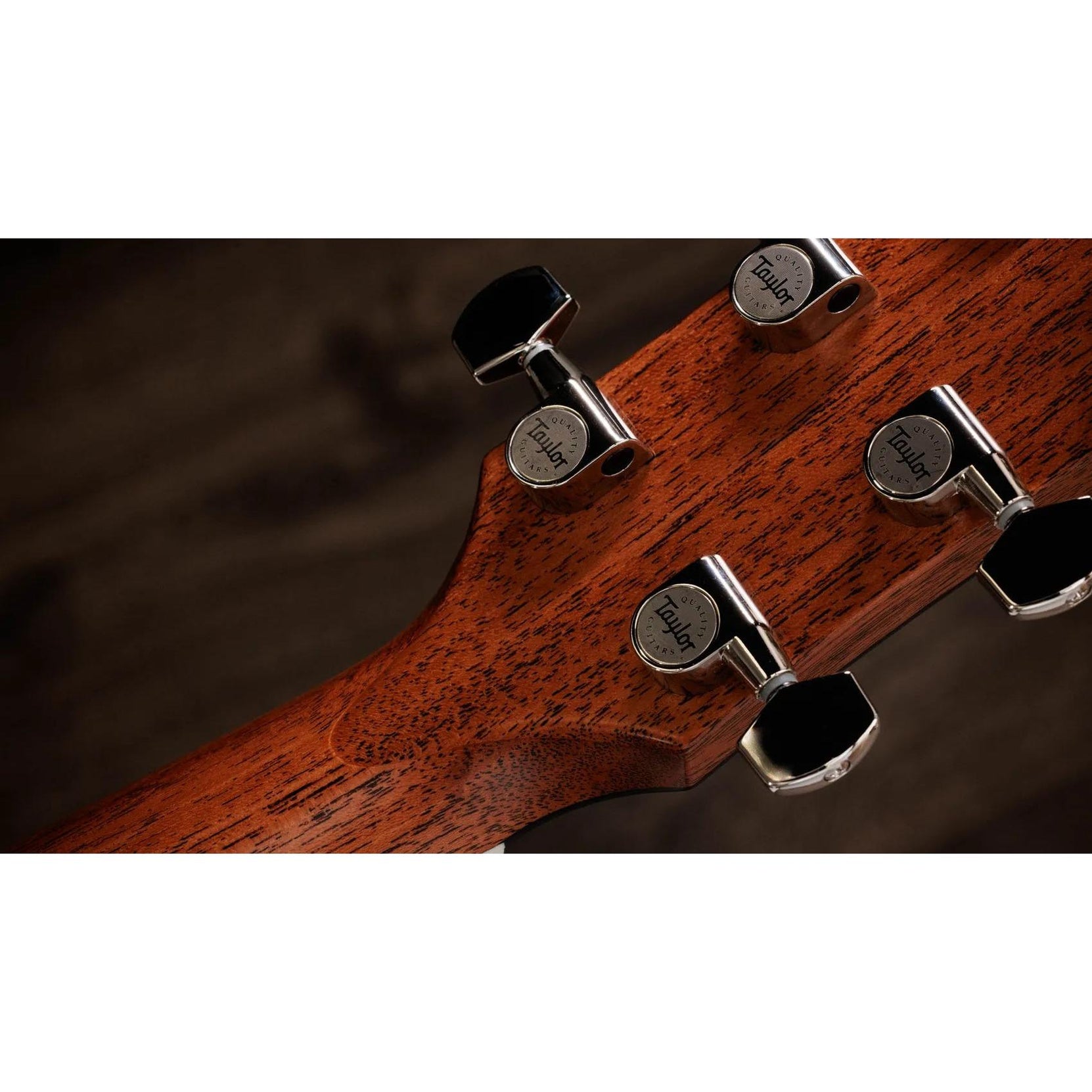Đàn Guitar Acoustic Taylor Gold Label 517e-Mai Nguyên Music
