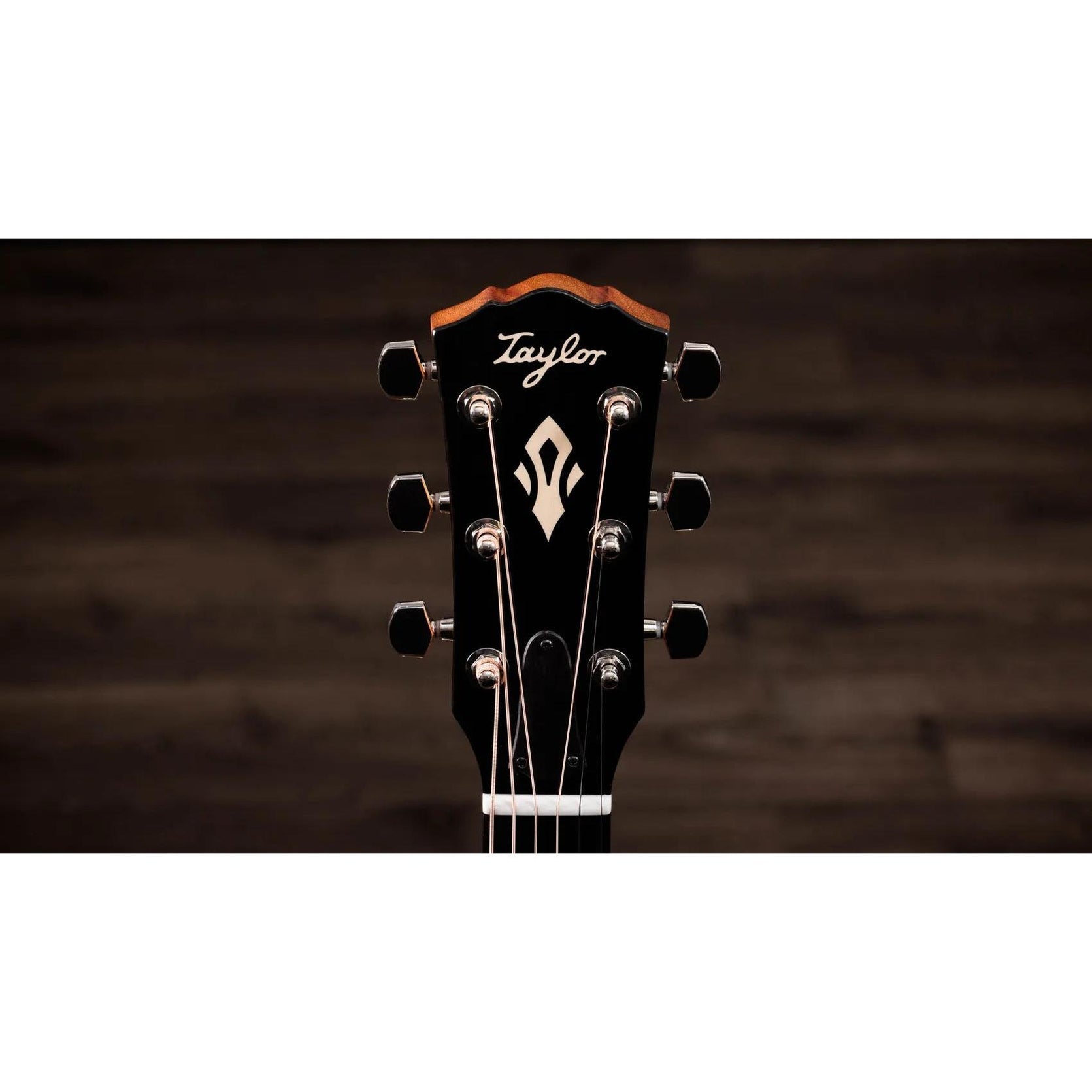 Đàn Guitar Acoustic Taylor Gold Label 517e-Mai Nguyên Music