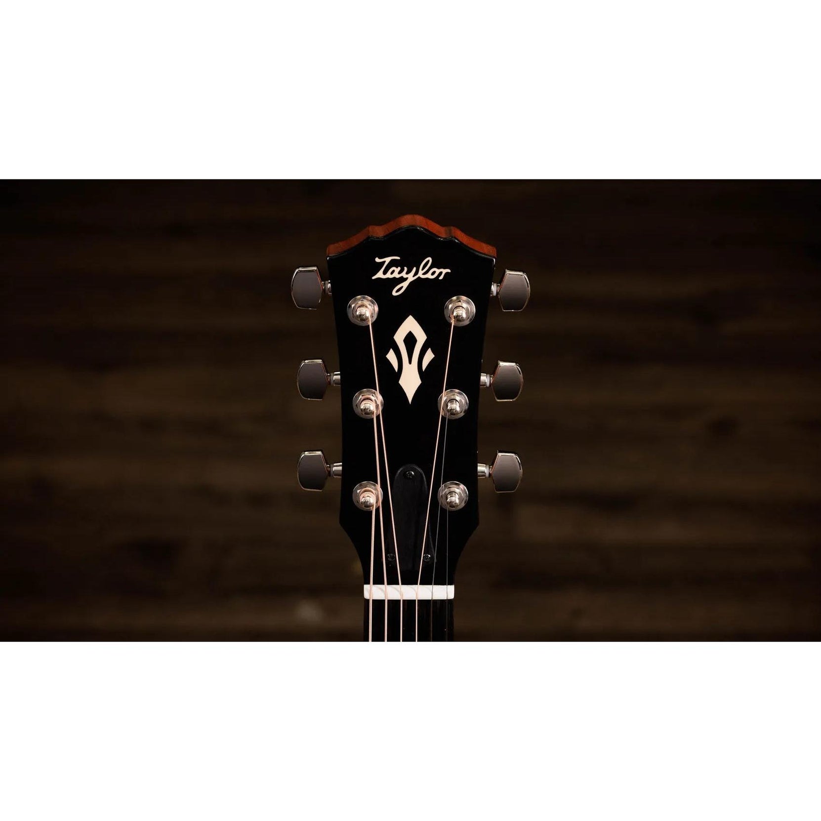 Đàn Guitar Acoustic Taylor Gold Label 517e-Mai Nguyên Music