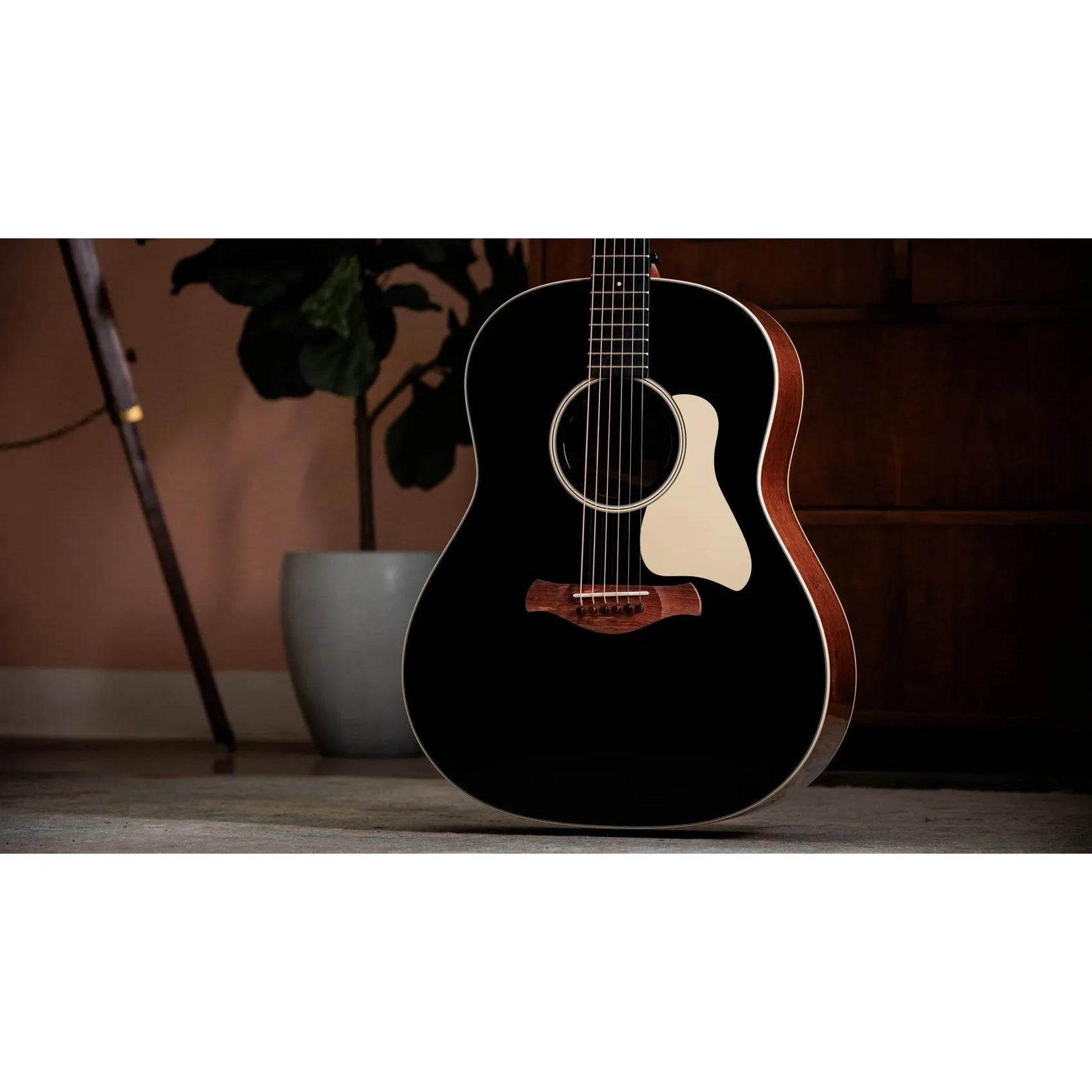 Đàn Guitar Acoustic Taylor Gold Label 517e-Mai Nguyên Music