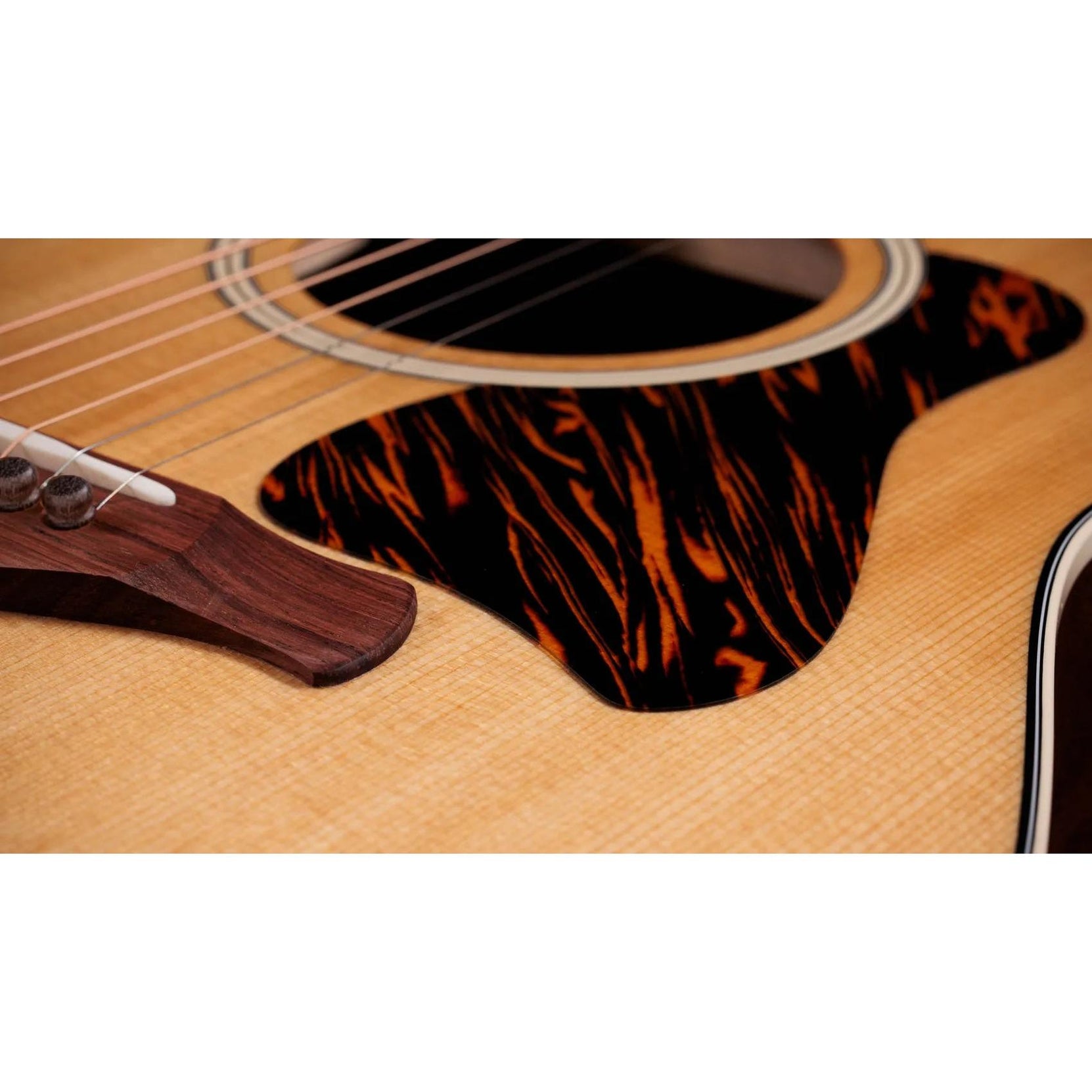 Đàn Guitar Acoustic Taylor Gold Label 517e-Mai Nguyên Music