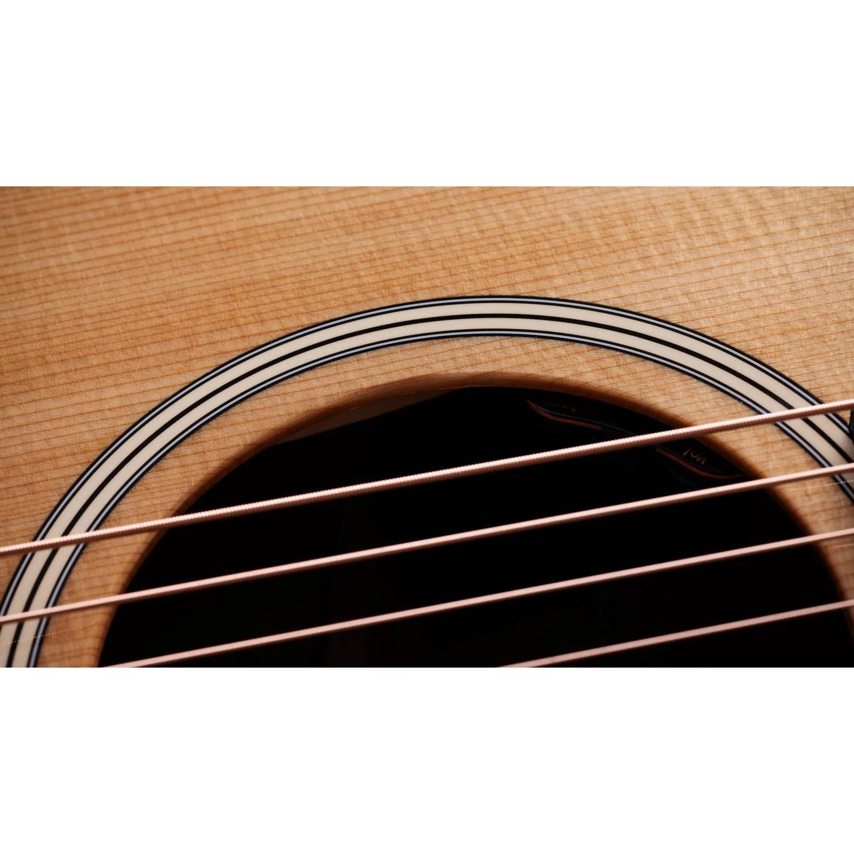 Đàn Guitar Acoustic Taylor Gold Label 517e-Mai Nguyên Music