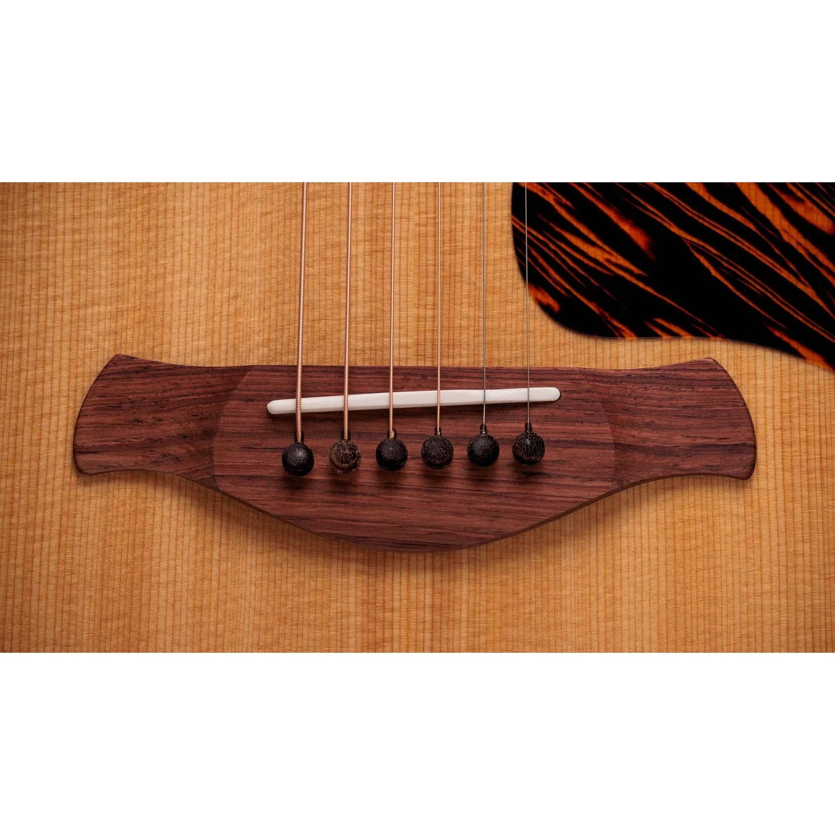 Đàn Guitar Acoustic Taylor Gold Label 517e-Mai Nguyên Music