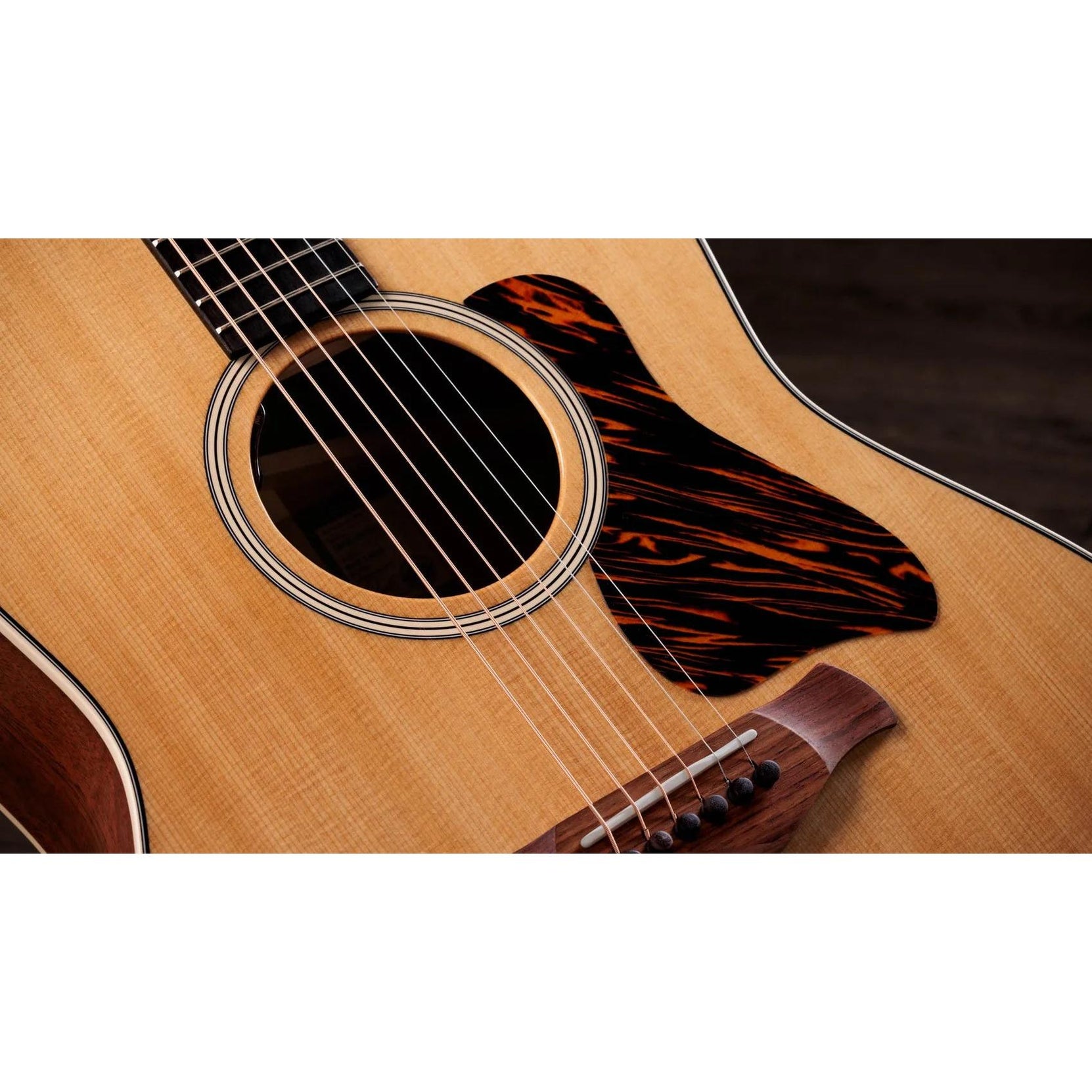 Đàn Guitar Acoustic Taylor Gold Label 517e-Mai Nguyên Music