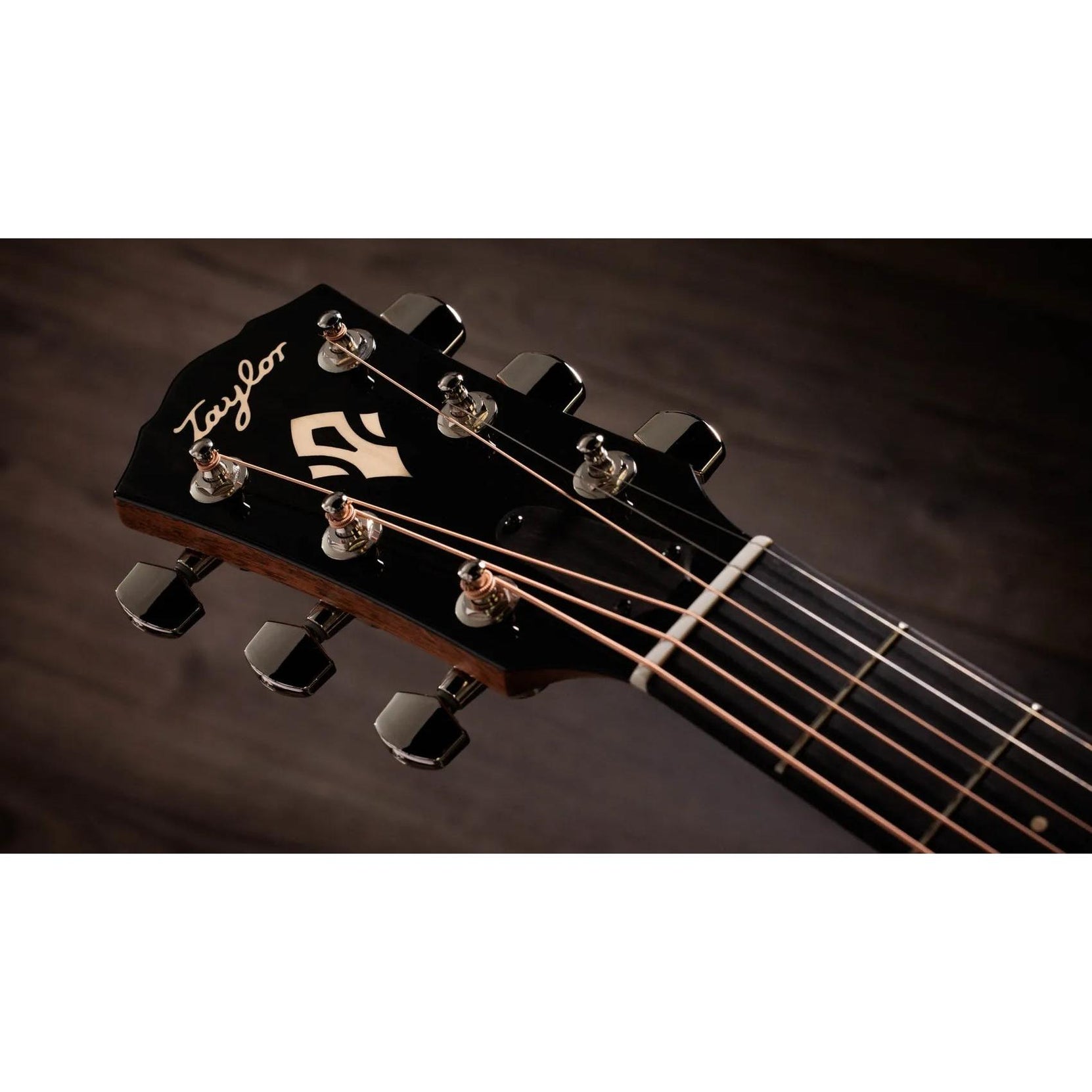 Đàn Guitar Acoustic Taylor Gold Label 517e-Mai Nguyên Music