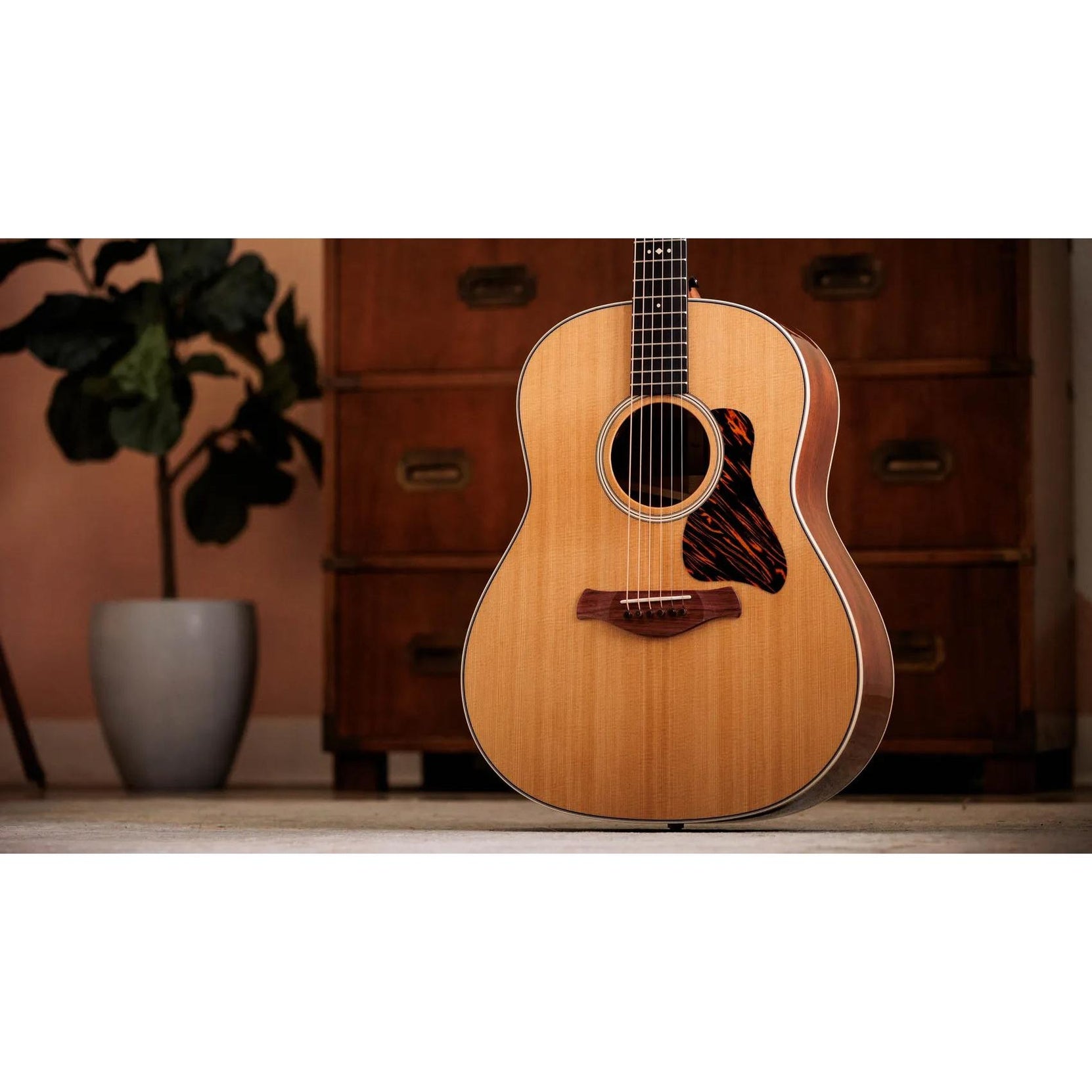 Đàn Guitar Acoustic Taylor Gold Label 517e-Mai Nguyên Music