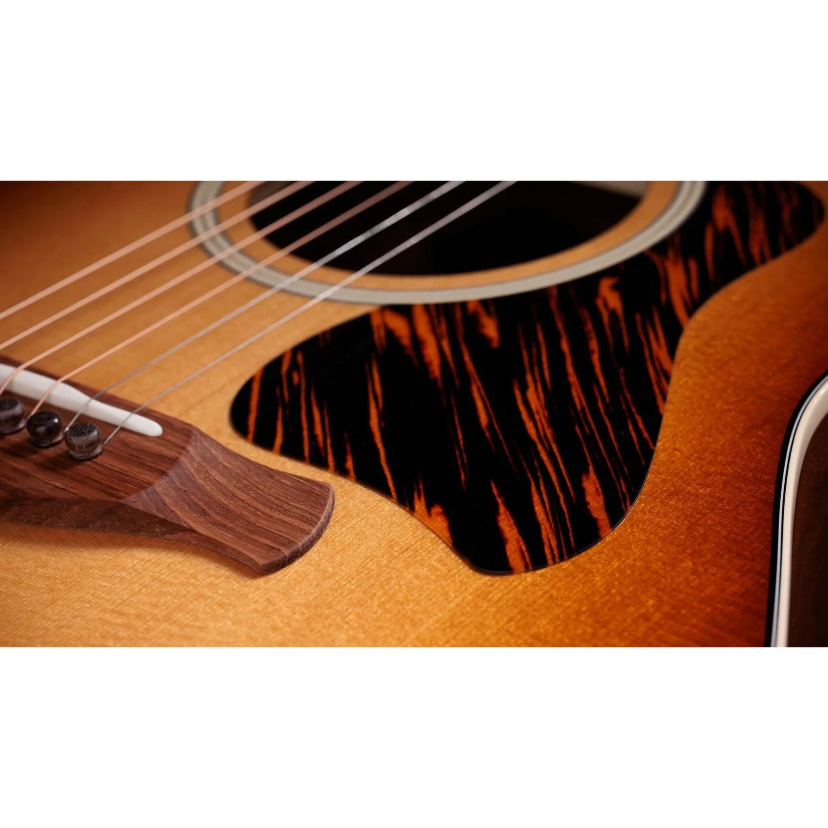 Đàn Guitar Acoustic Taylor Gold Label 517e-Mai Nguyên Music