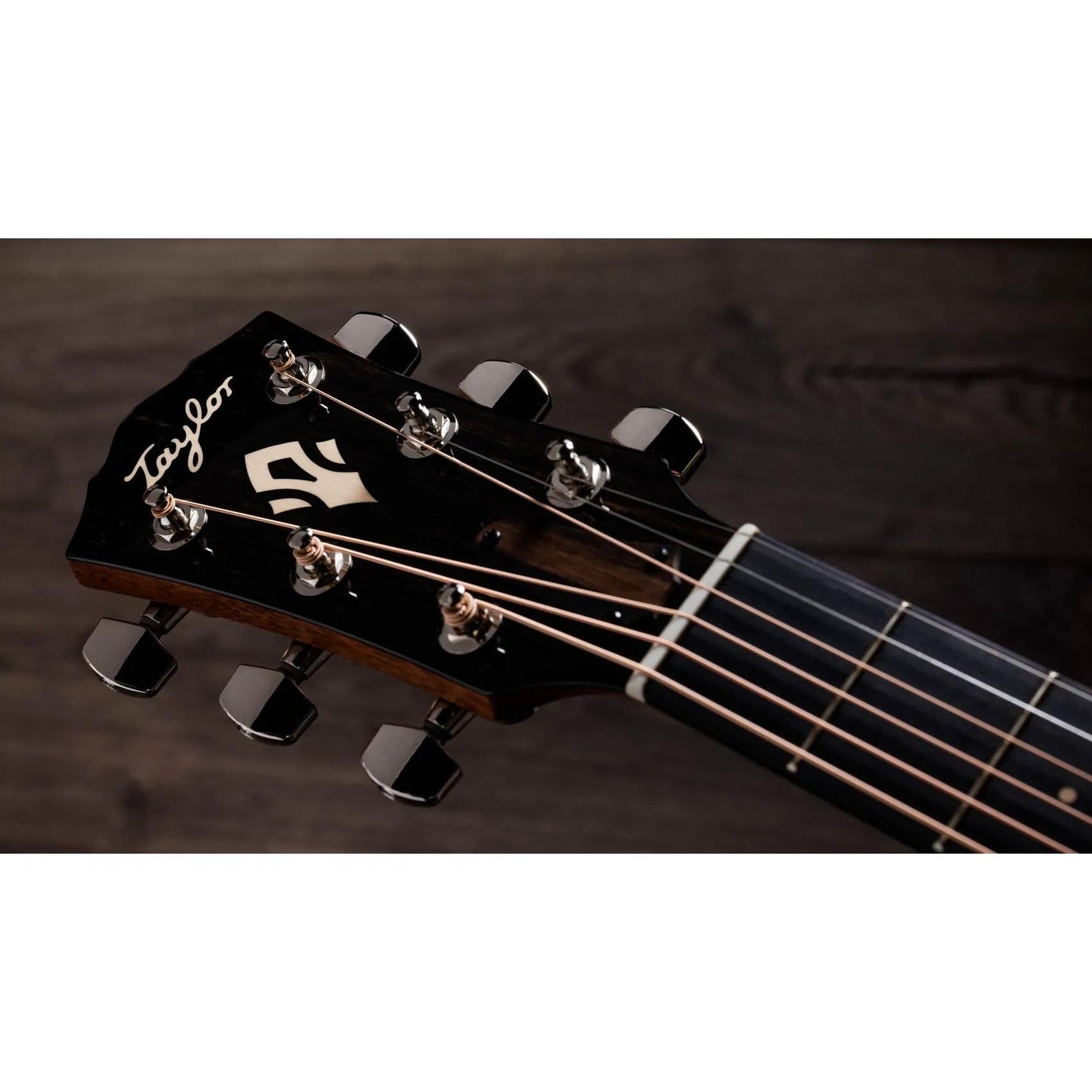Đàn Guitar Acoustic Taylor Gold Label 517e-Mai Nguyên Music