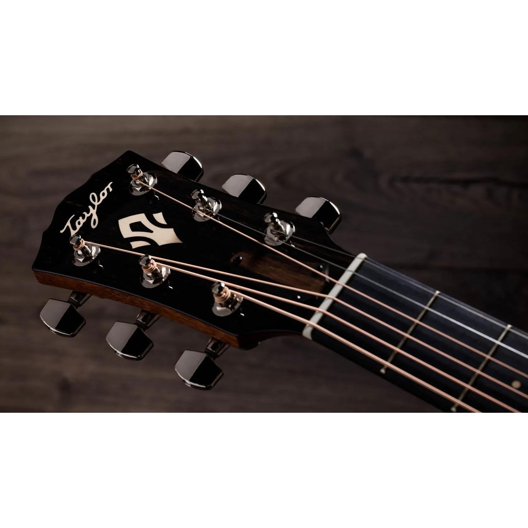 Đàn Guitar Acoustic Taylor Gold Label 517e-Mai Nguyên Music