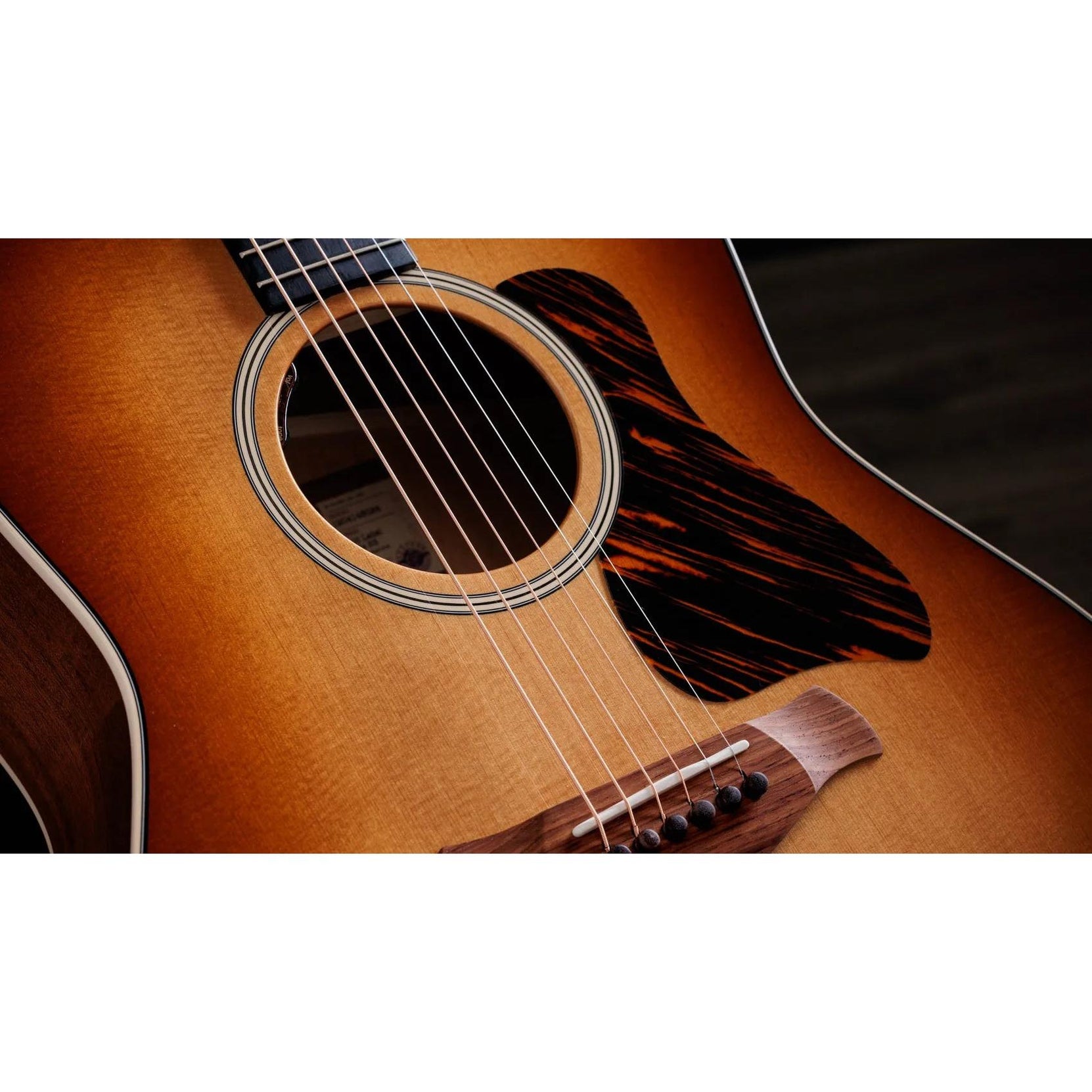 Đàn Guitar Acoustic Taylor Gold Label 517e-Mai Nguyên Music