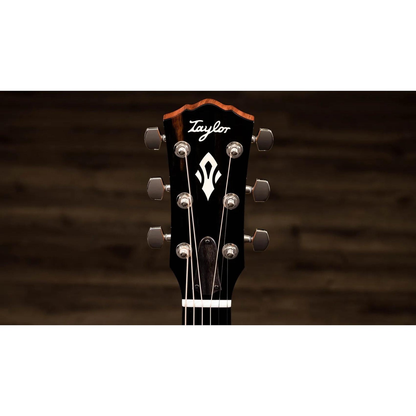 Đàn Guitar Acoustic Taylor Gold Label 517e-Mai Nguyên Music