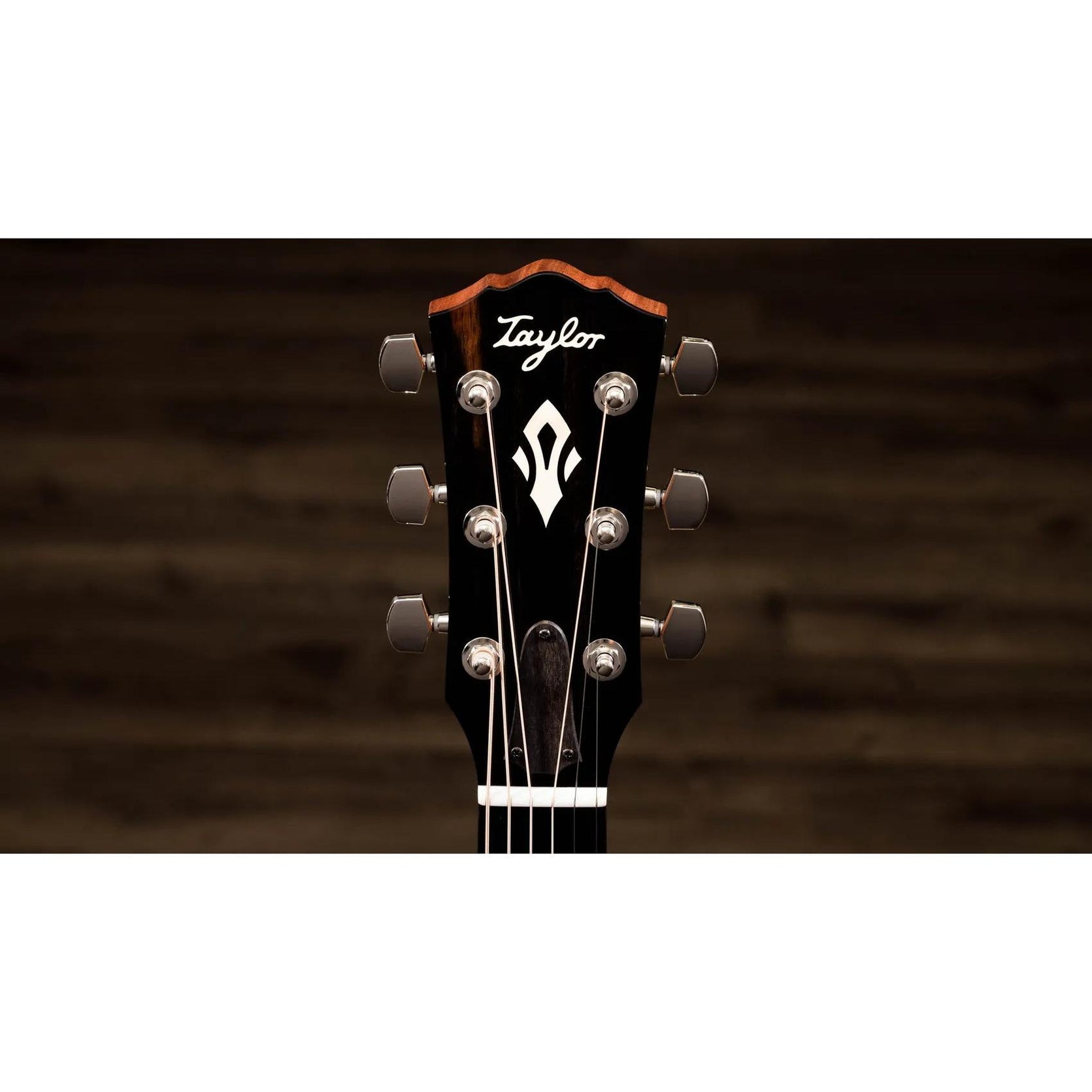 Đàn Guitar Acoustic Taylor Gold Label 517e-Mai Nguyên Music