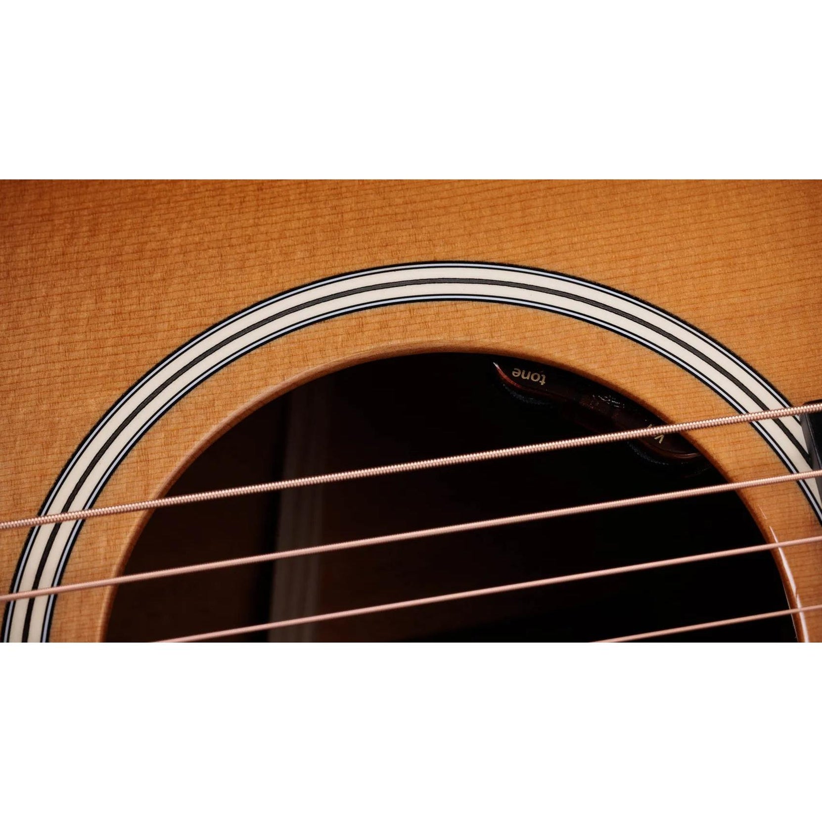 Đàn Guitar Acoustic Taylor Gold Label 517e-Mai Nguyên Music