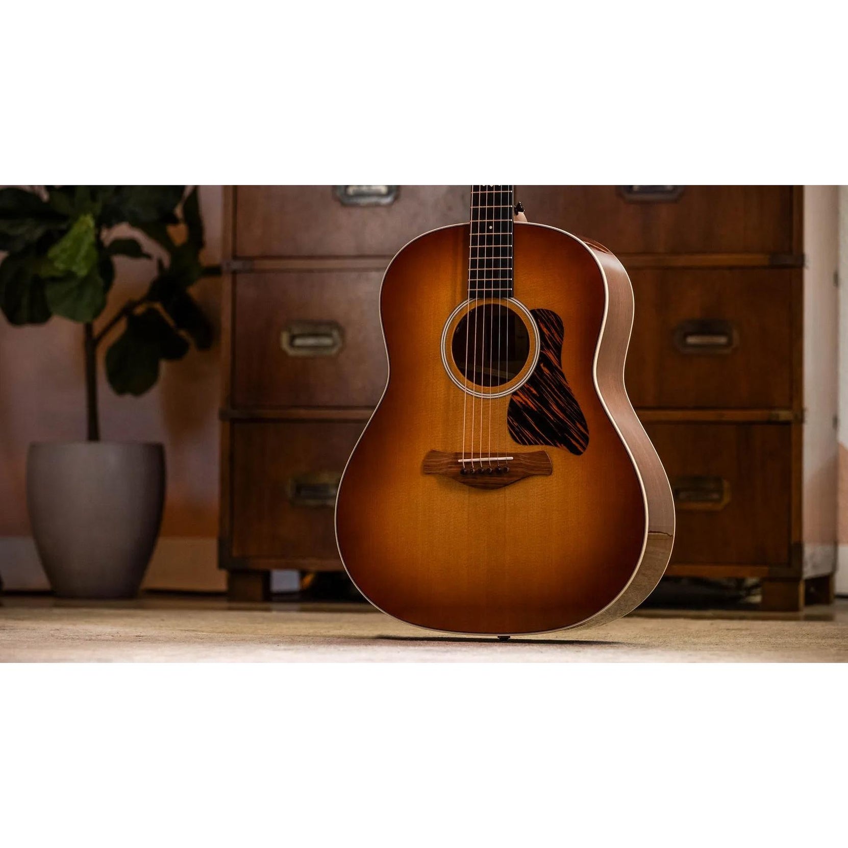 Đàn Guitar Acoustic Taylor Gold Label 517e-Mai Nguyên Music