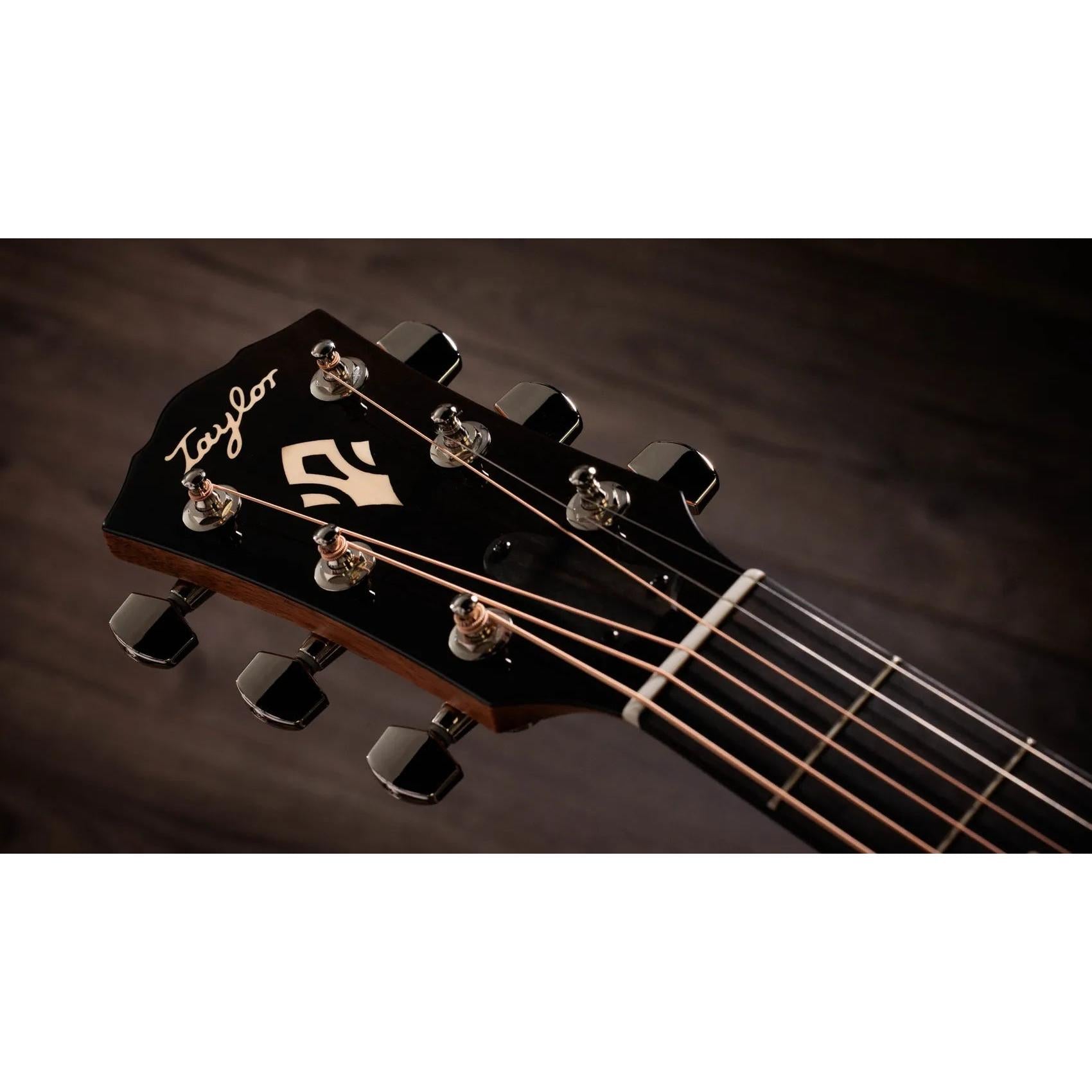 Đàn Guitar Acoustic Taylor Gold Label 517e-Mai Nguyên Music