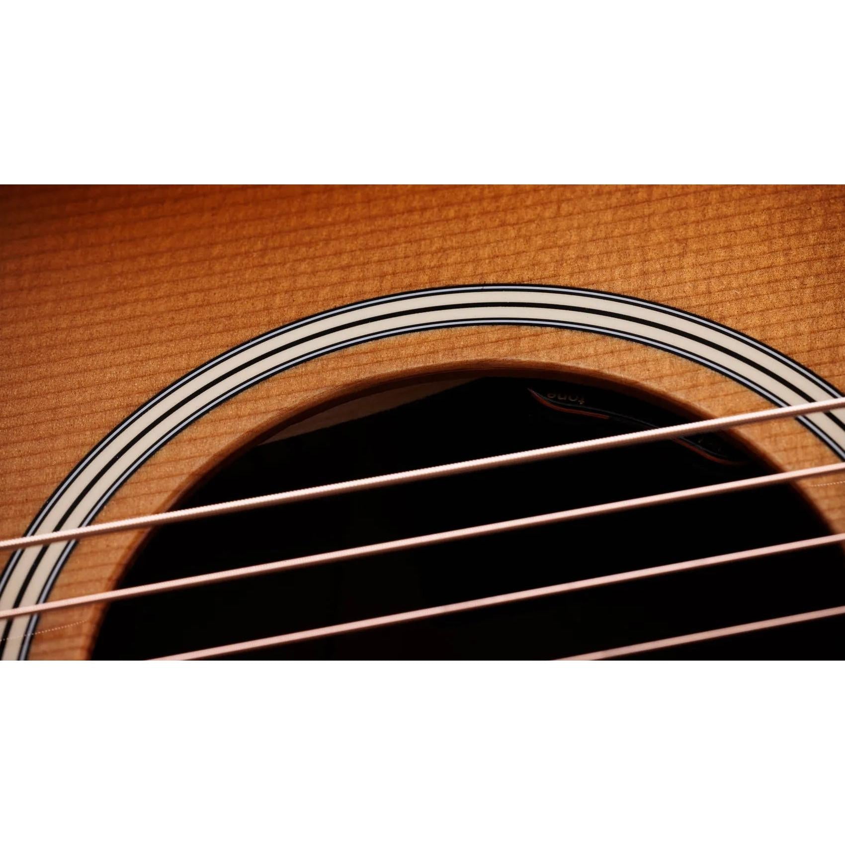 Đàn Guitar Acoustic Taylor Gold Label 517e-Mai Nguyên Music