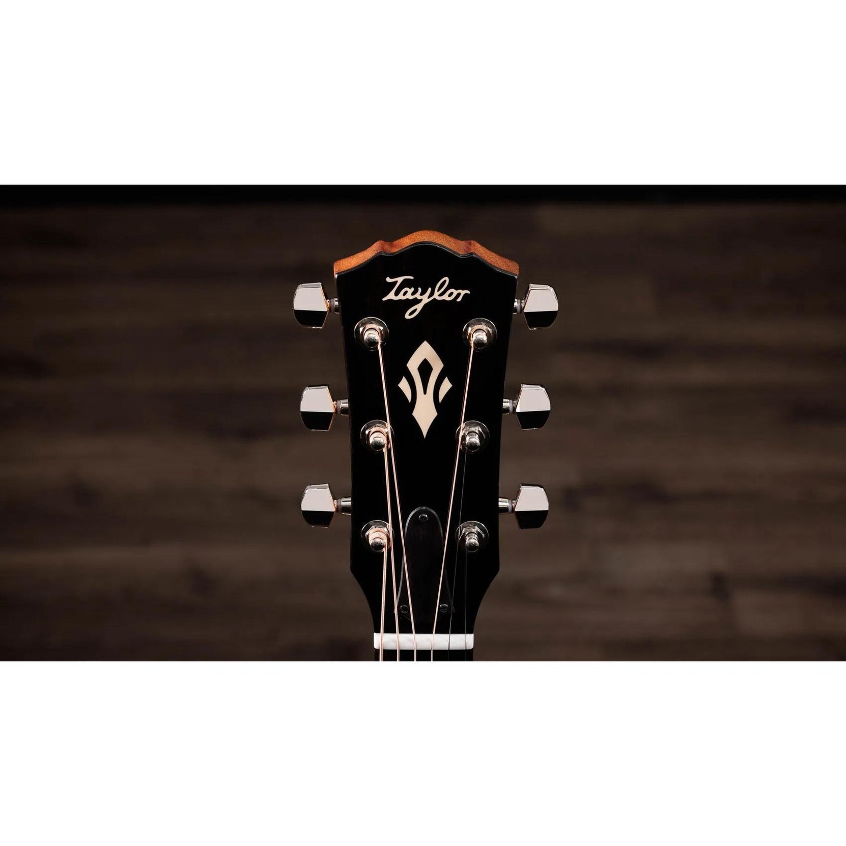 Đàn Guitar Acoustic Taylor Gold Label 710e - Natural-Mai Nguyên Music