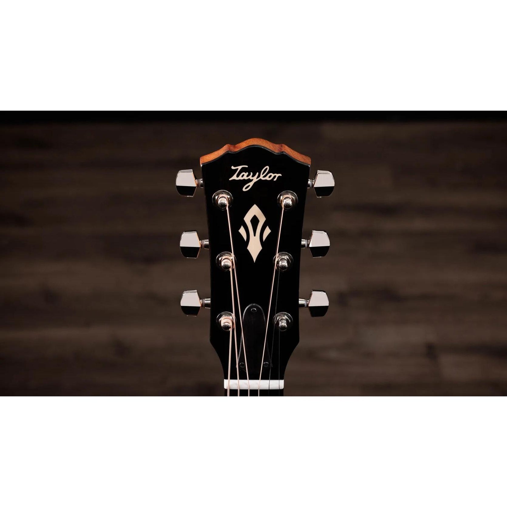 Đàn Guitar Acoustic Taylor Gold Label 710e - Natural-Mai Nguyên Music