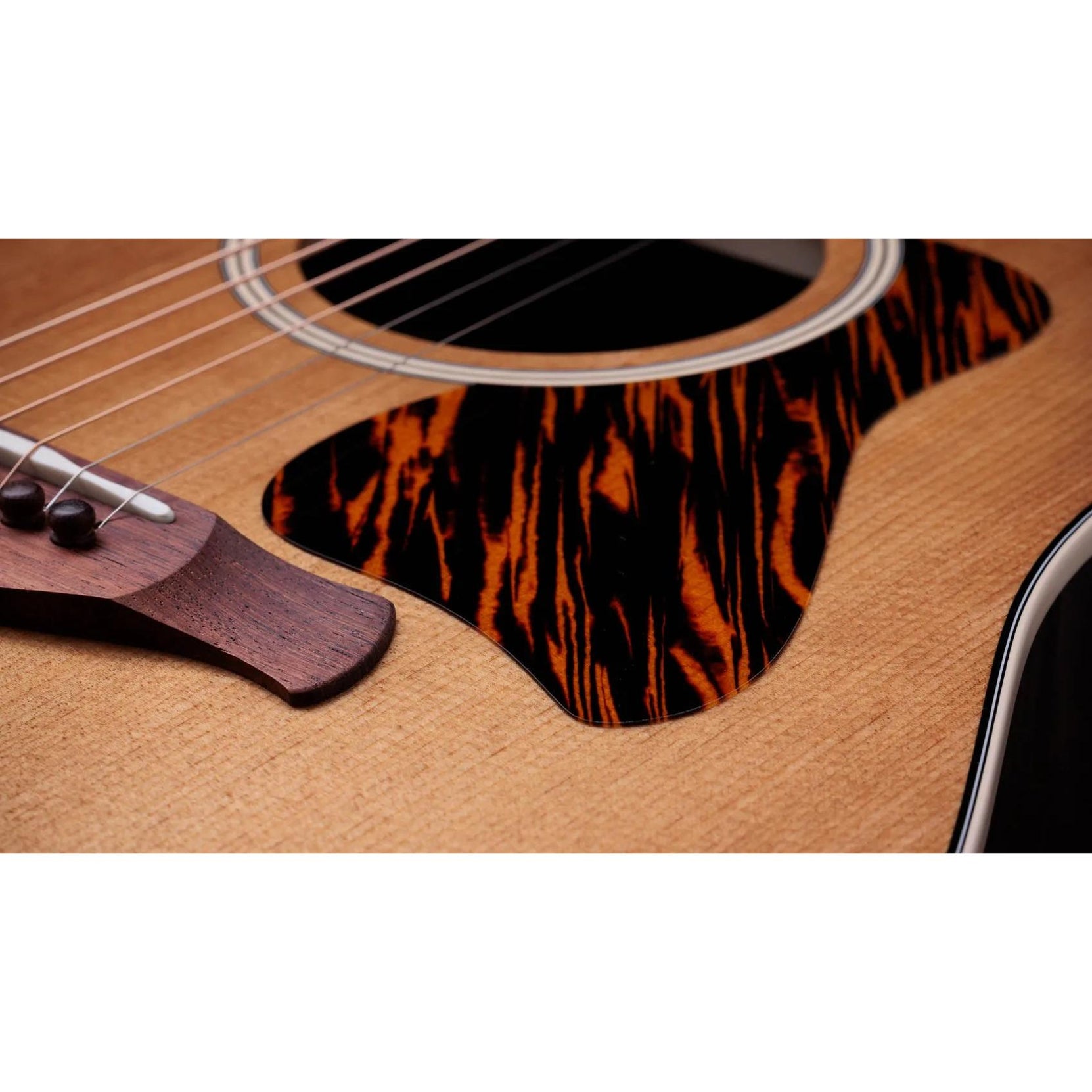 Đàn Guitar Acoustic Taylor Gold Label 710e - Natural-Mai Nguyên Music