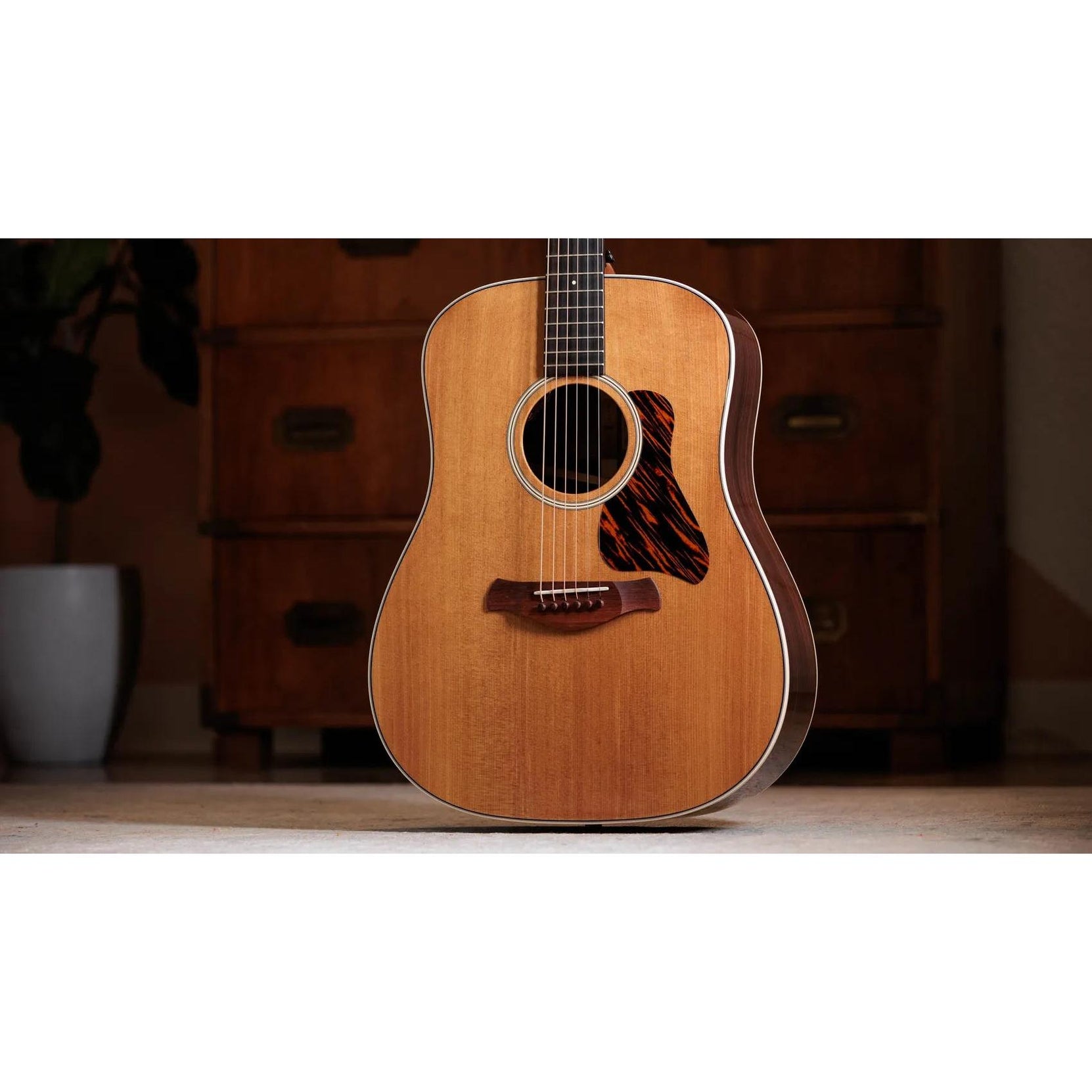 Đàn Guitar Acoustic Taylor Gold Label 710e - Natural-Mai Nguyên Music