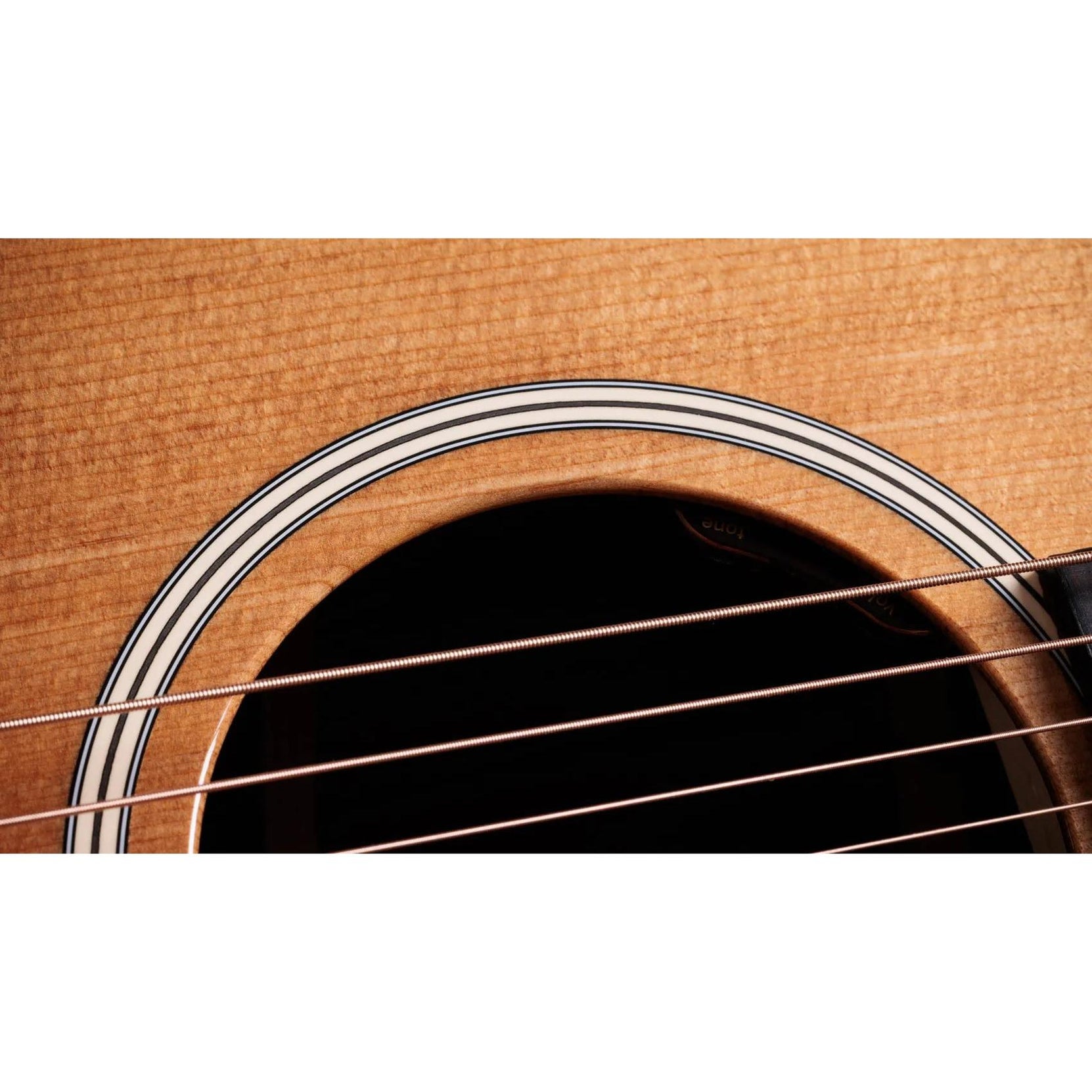 Đàn Guitar Acoustic Taylor Gold Label 710e - Natural-Mai Nguyên Music