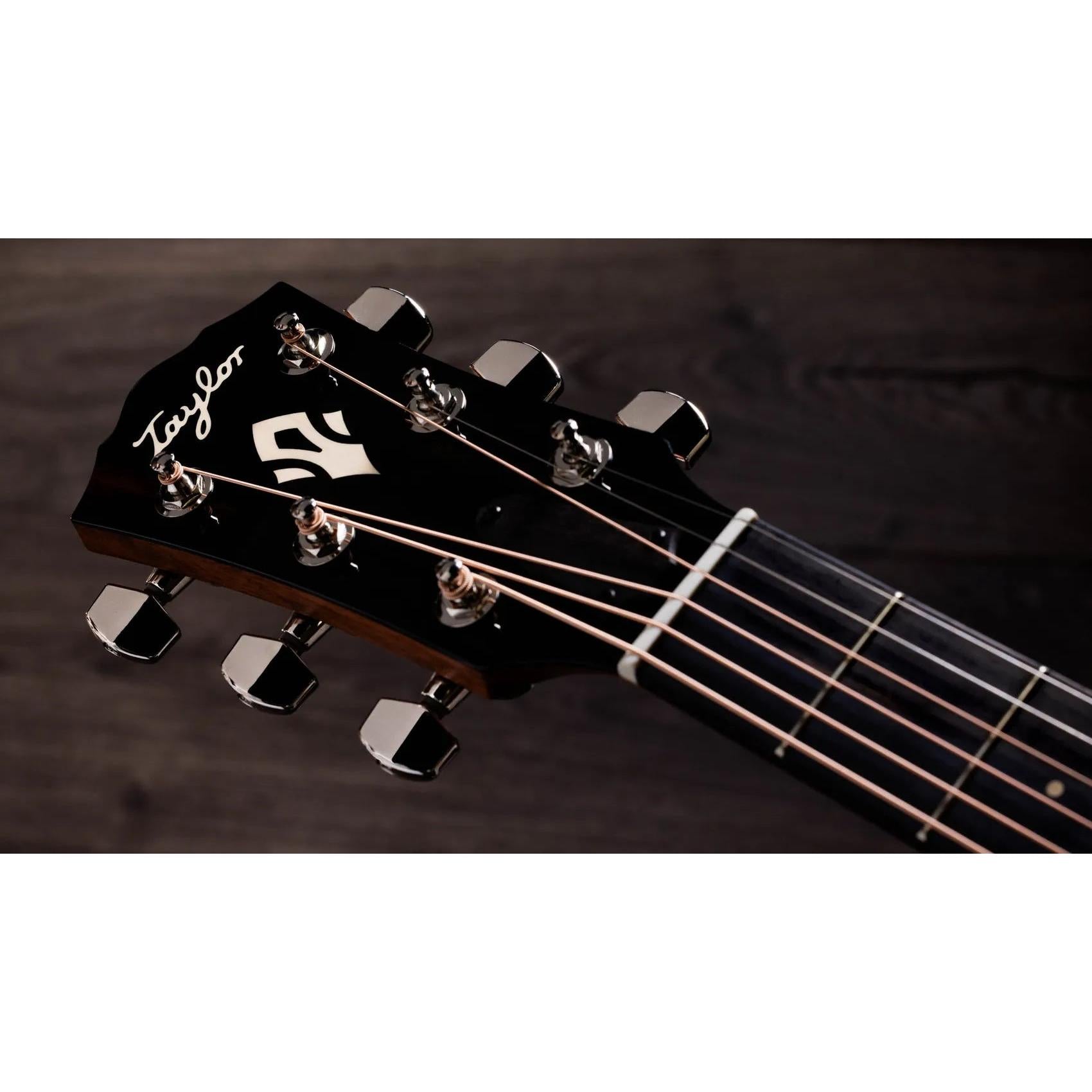 Đàn Guitar Acoustic Taylor Gold Label 710e - Natural-Mai Nguyên Music