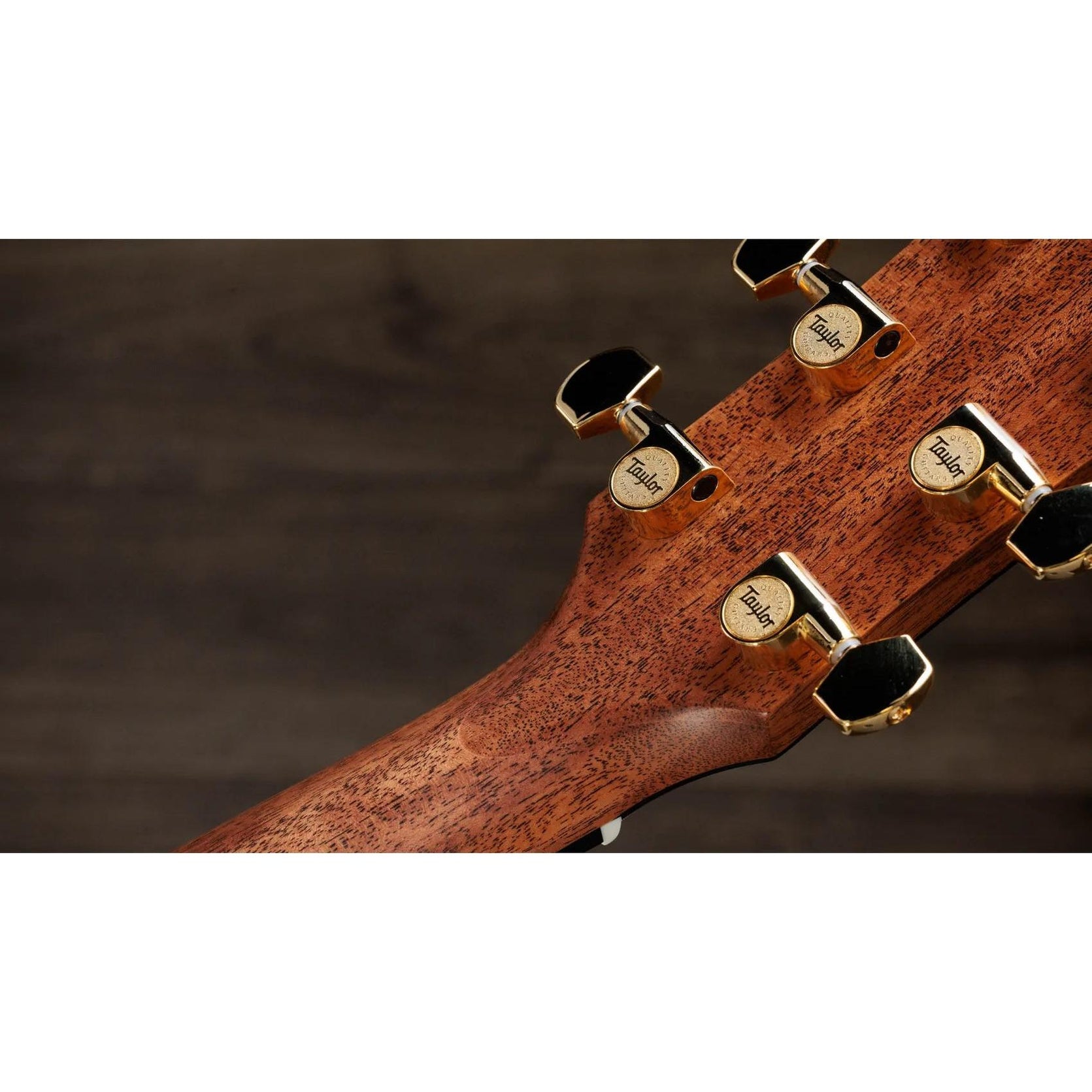 Đàn Guitar Acoustic Taylor Gold Label 710e Special Edition - Nashville Burst-Mai Nguyên Music